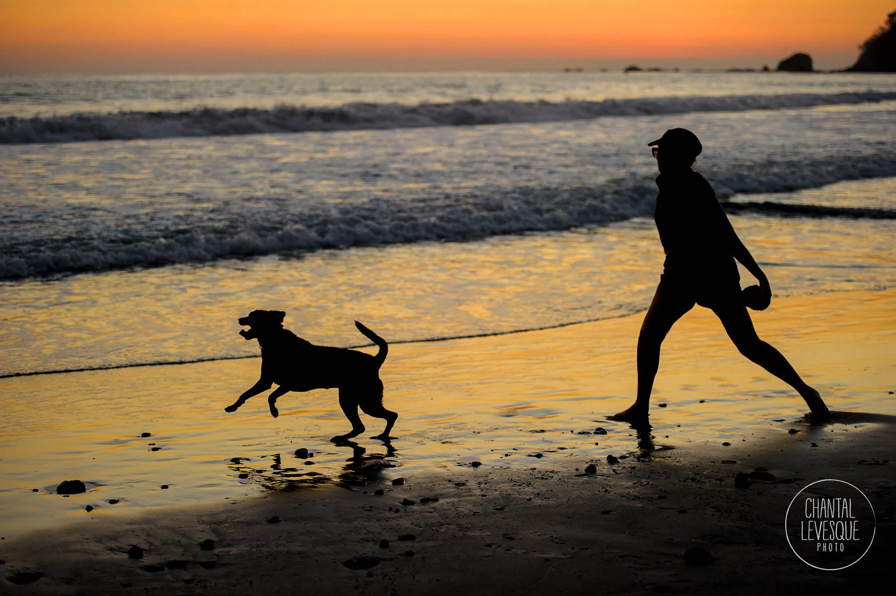 lifestyle-dog-photography.jpg