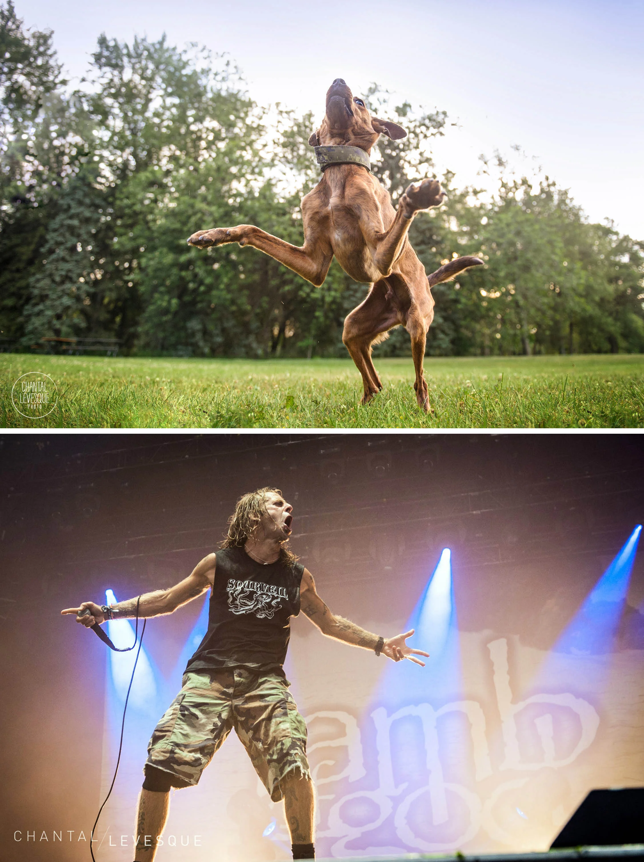 Tyson / Lamb of God