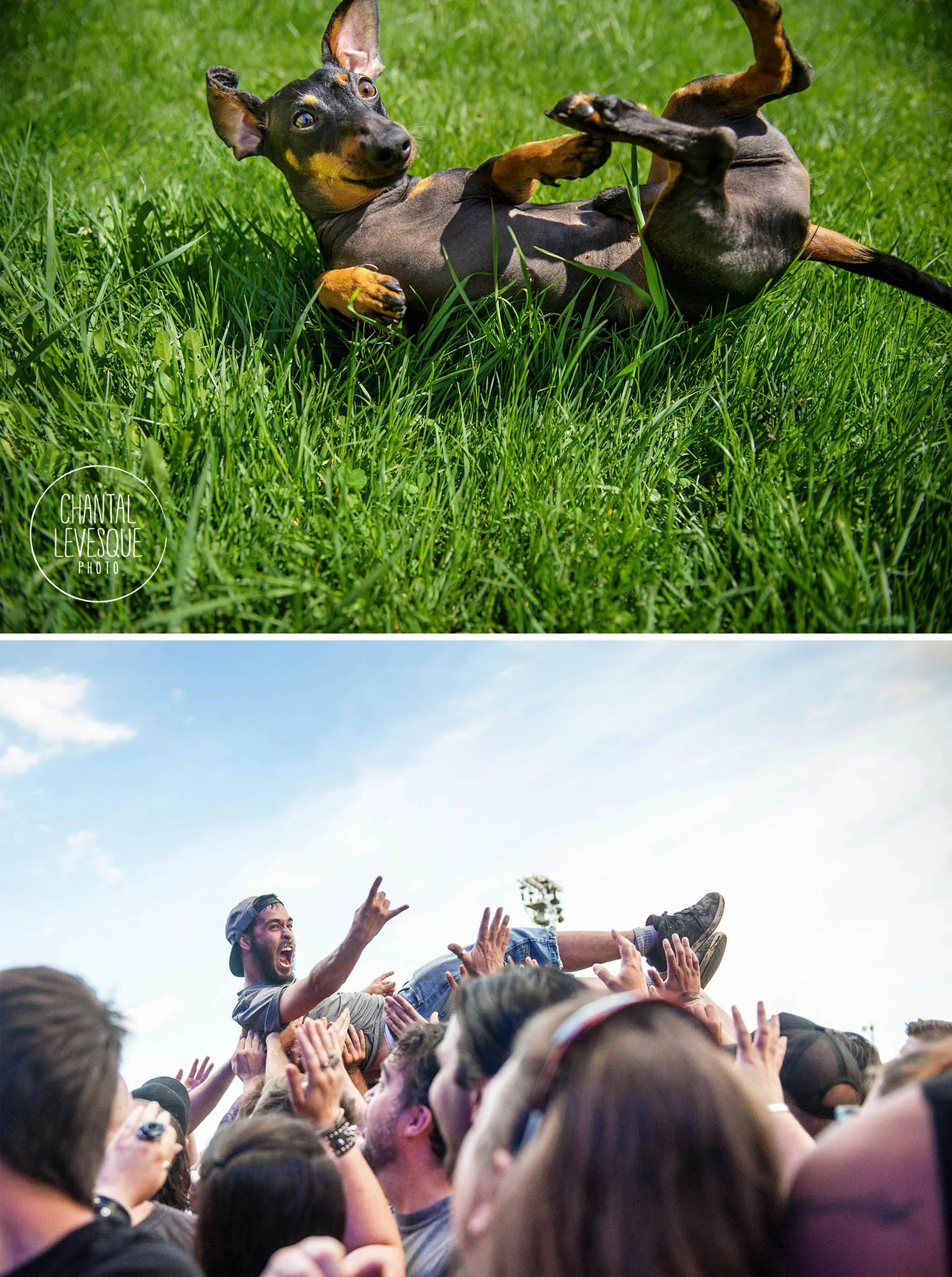 Walter / crowd surfer