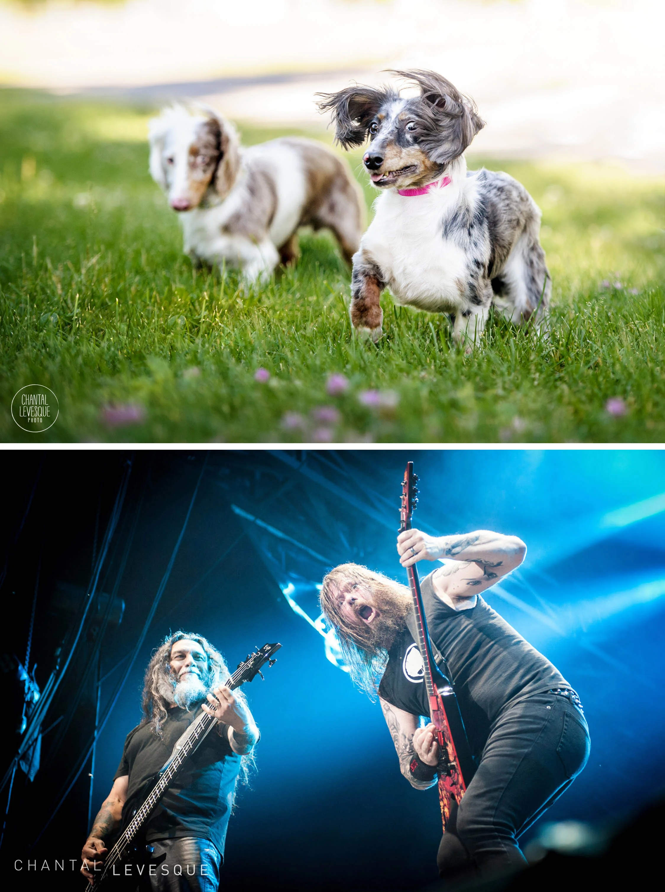 Bulle et Tympan / Slayer