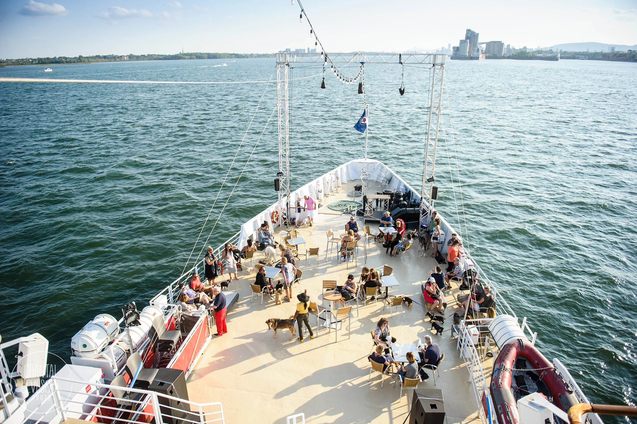 croisiere-chien-mtl-2965.jpg