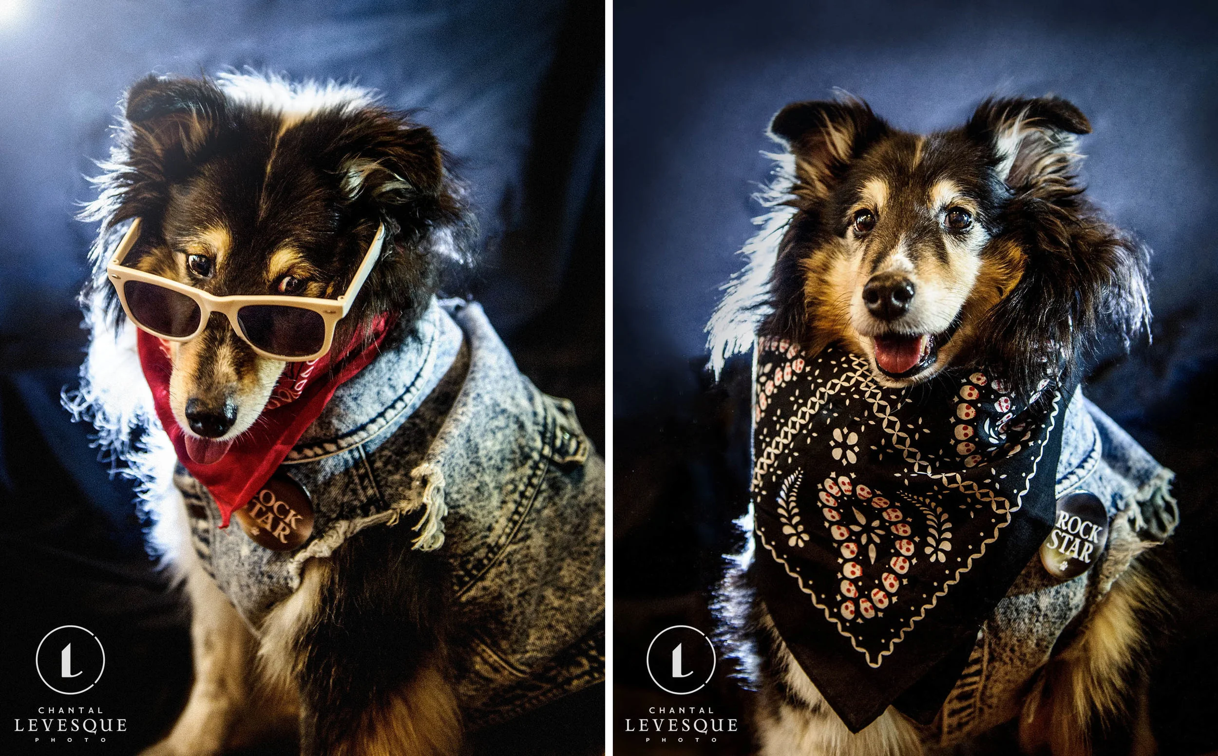 collie-jean-jacket-sunglasses.jpg