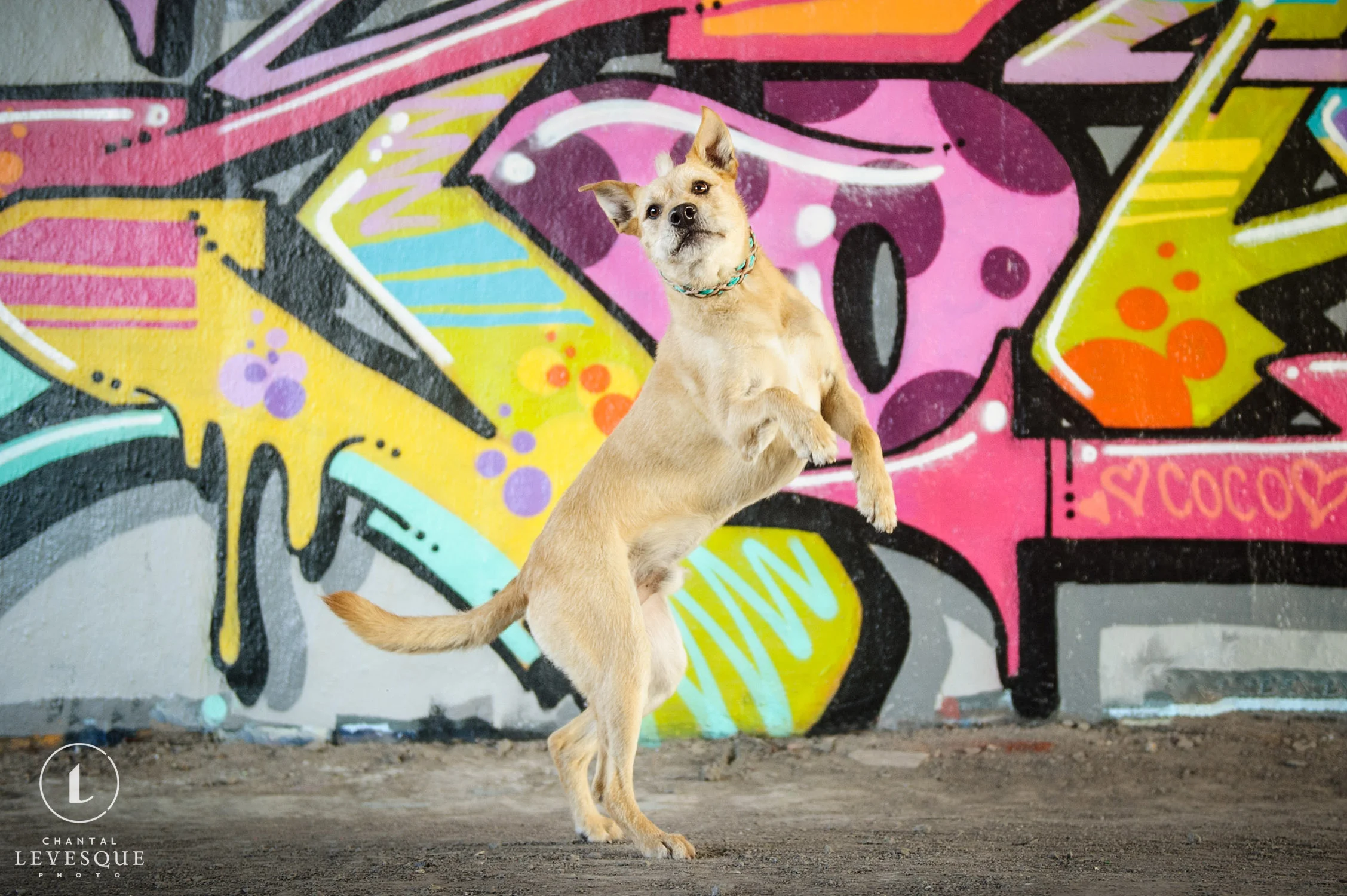 Matheo
