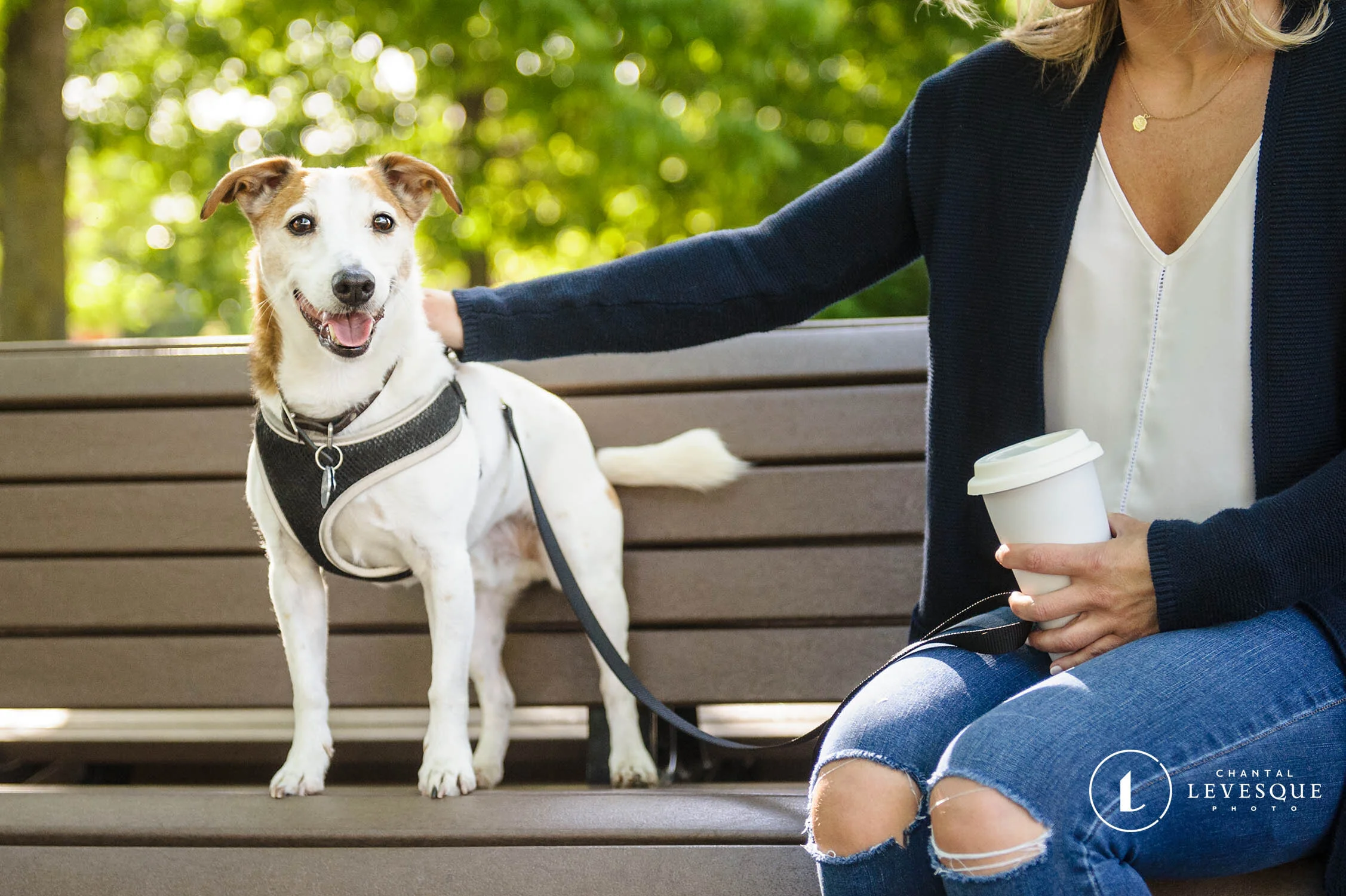 coffee-park-with-dog-1705.jpg