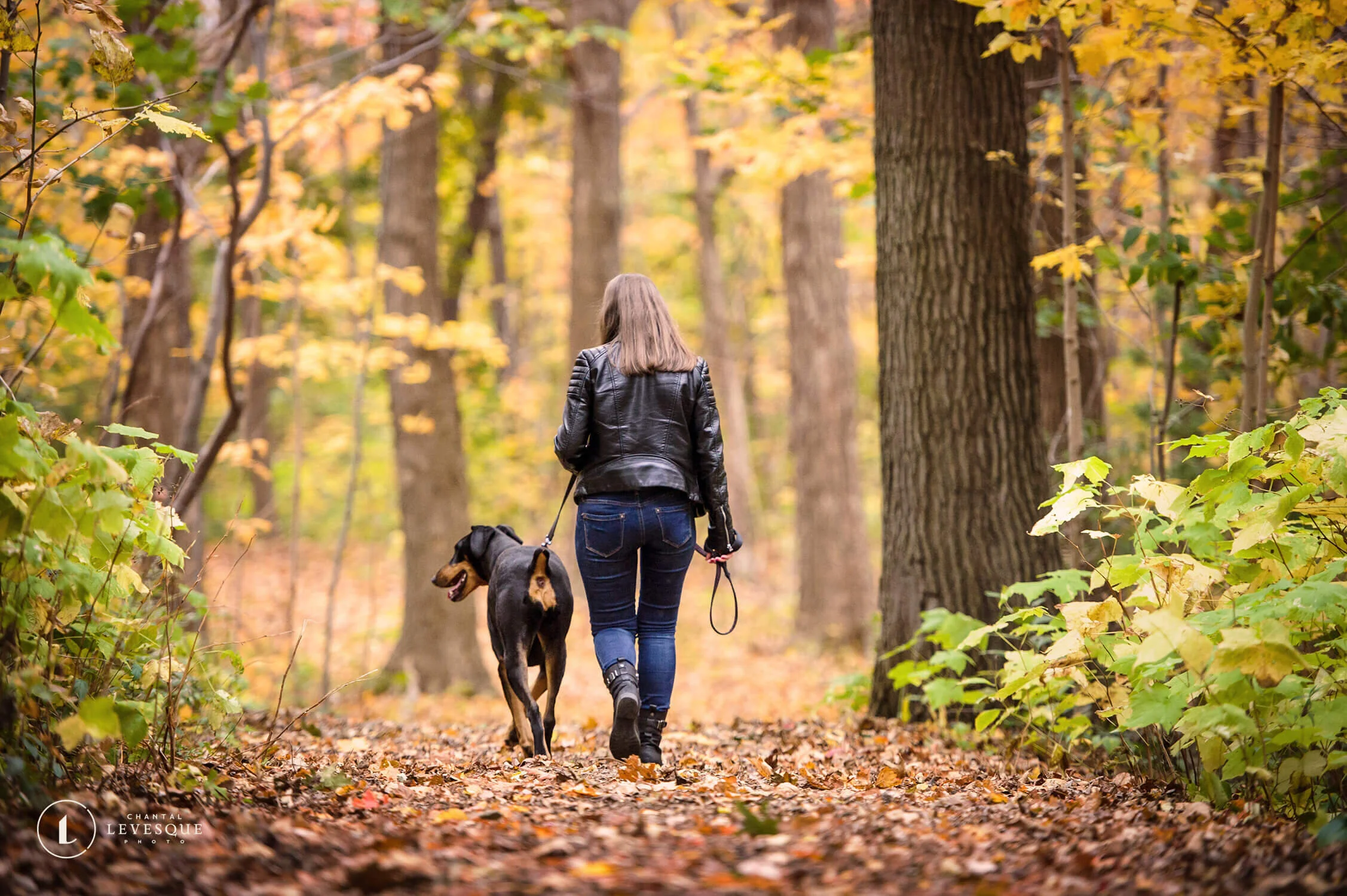 5 FAÇONS BADASS DE CÉLÉBRER L'AUTOMNE AVEC TON CHIEN À MONTRÉAL