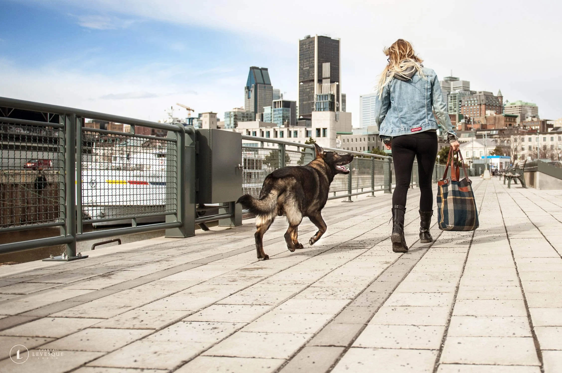 3 FAÇONS POUR TOI ET TON CHIEN DE VOUS AMUSER ENSEMBLE ET D'EXPRIMER VOTRE INDIVIDUALITÉ