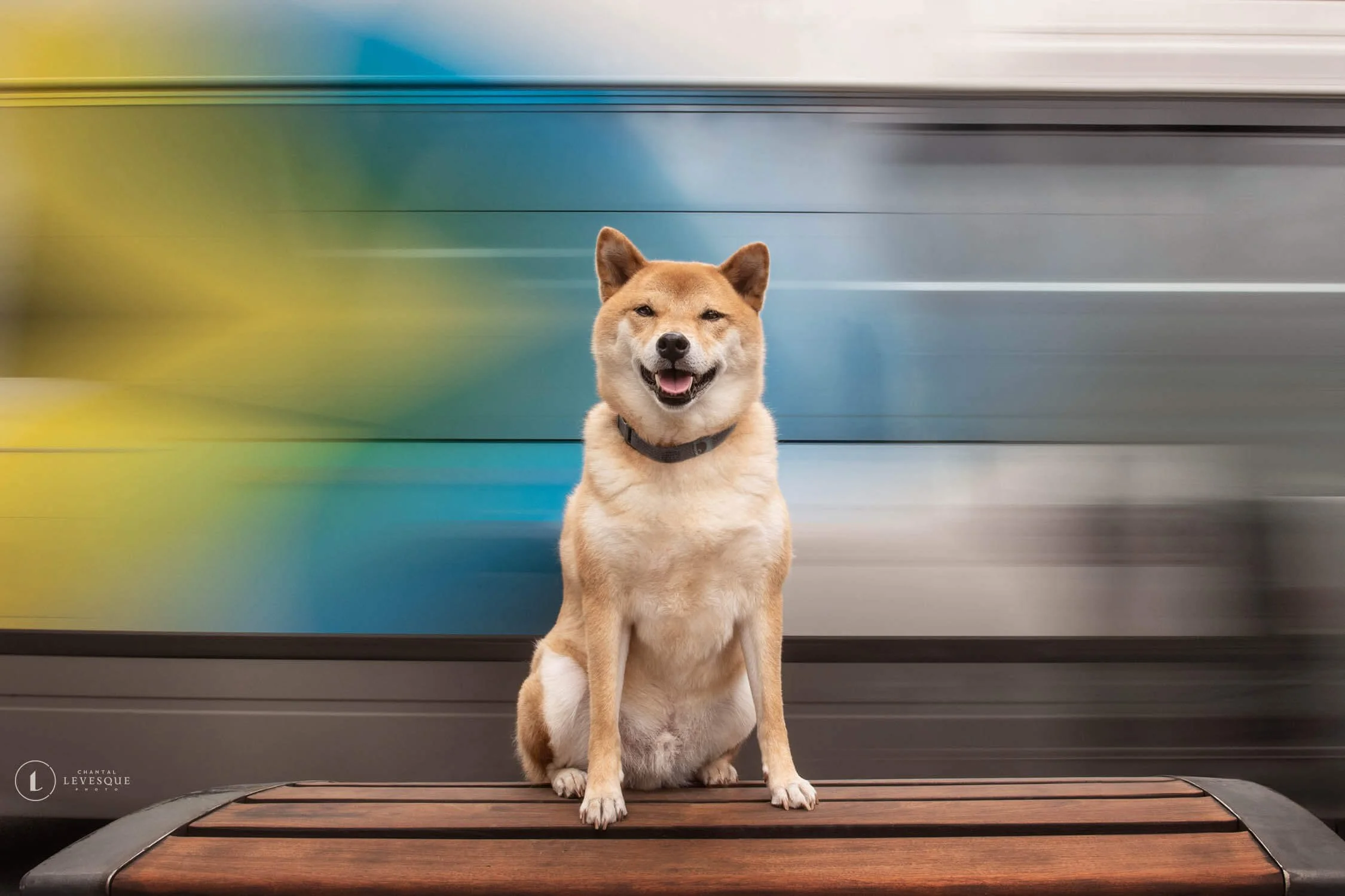 CRÉATIF - CHALLENGE PHOTO CITY SLICKER