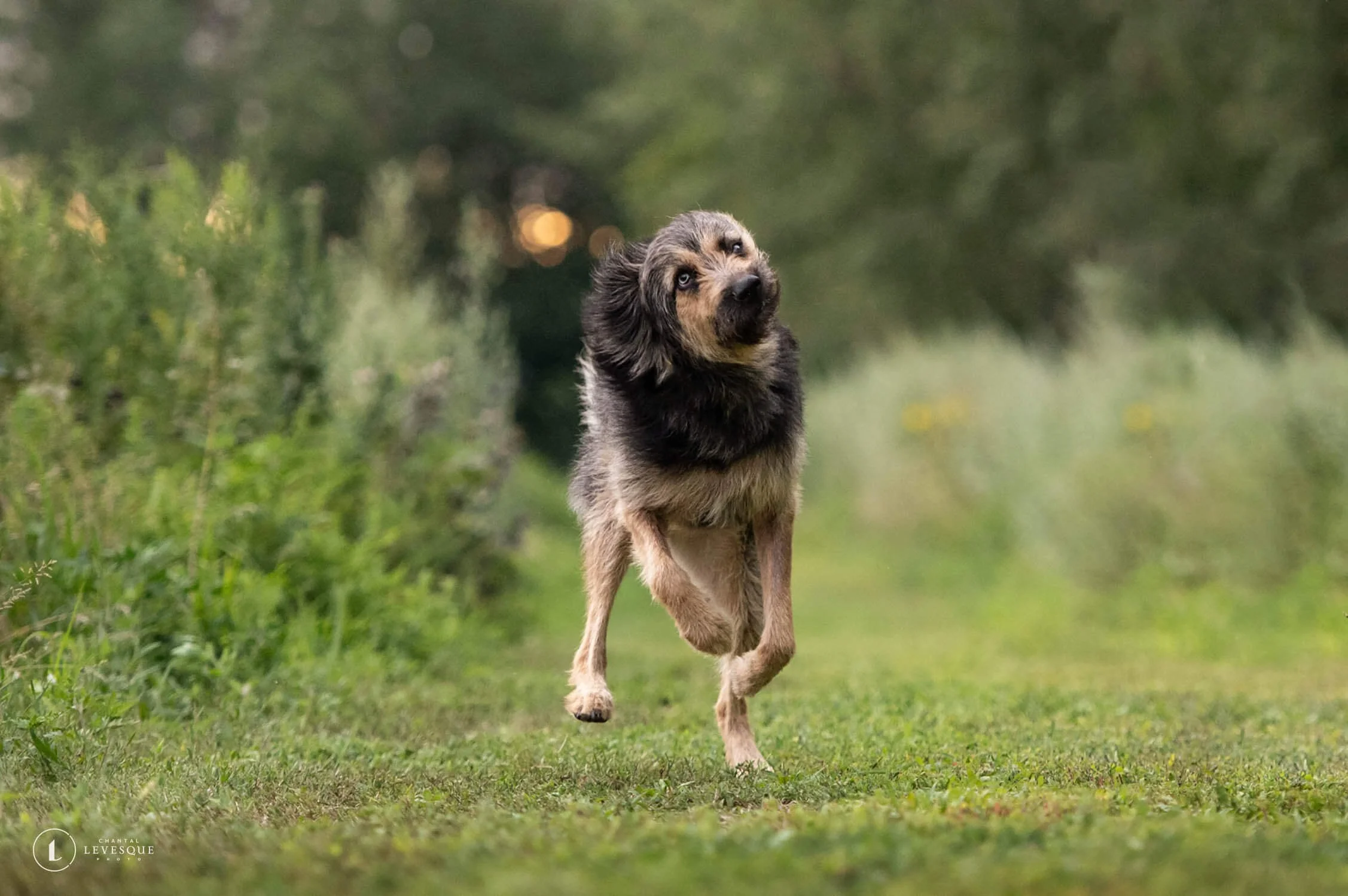 BLOOPERS - SÉANCES PHOTO PRINTEMPS ET ÉTÉ