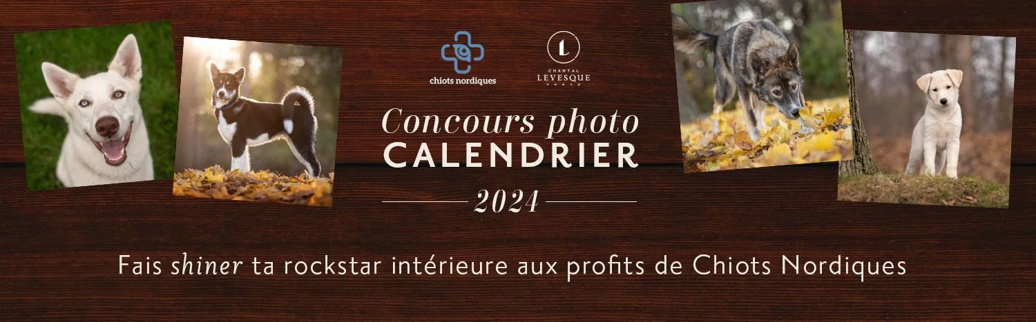 CONCOURS PHOTO - CALENDRIER 2024