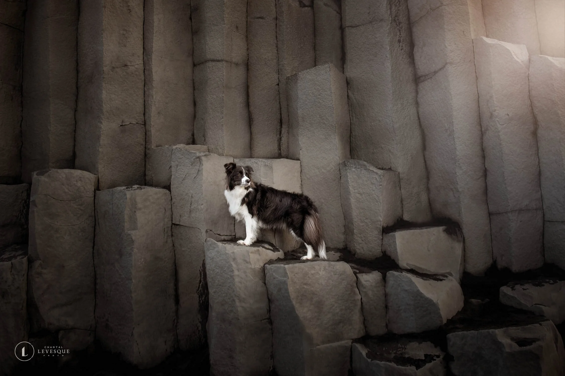 STYLE LAB RETREAT 2023 EN ISLANDE