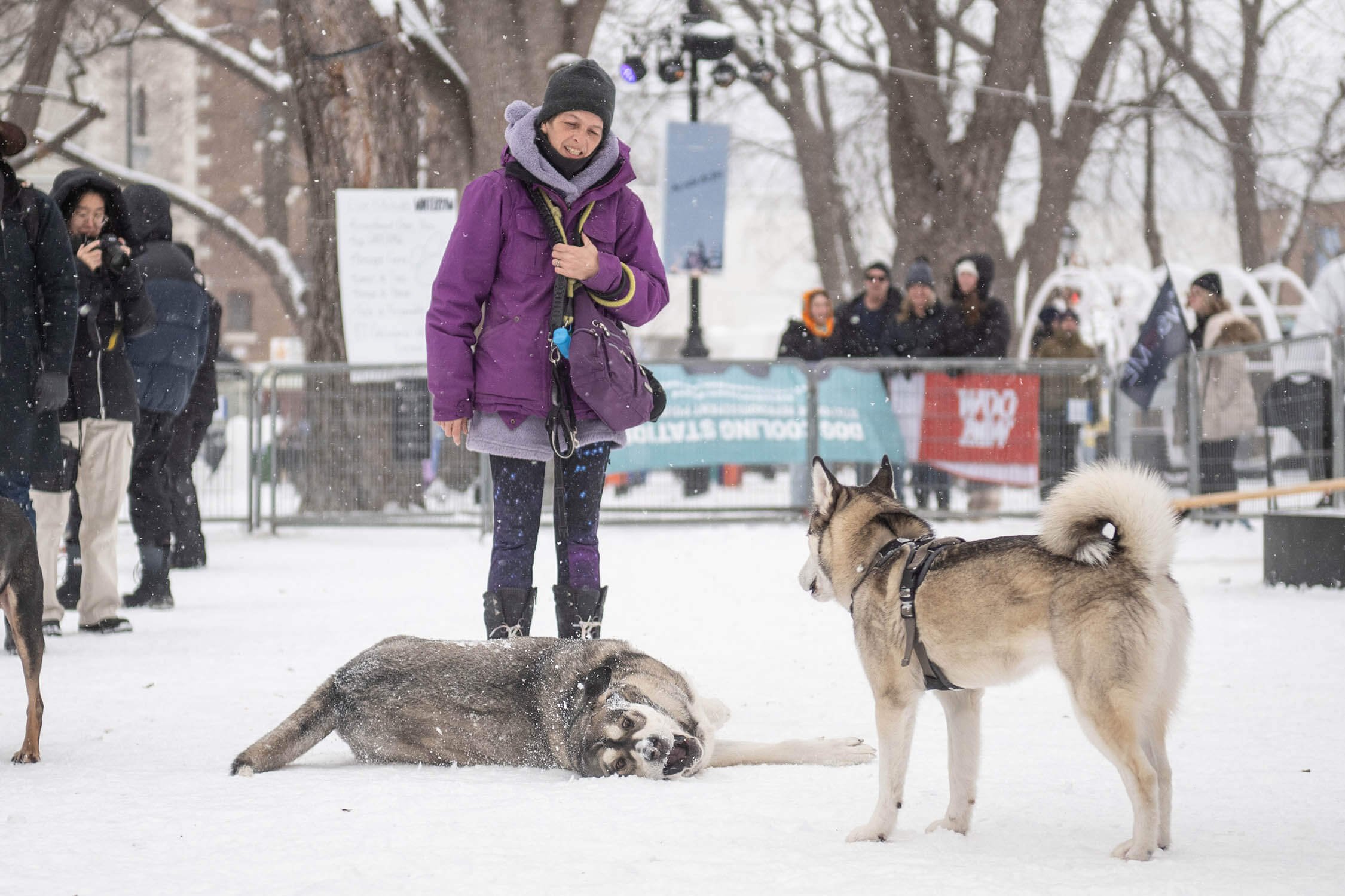 WinterPaw-Montreal-1704.jpg