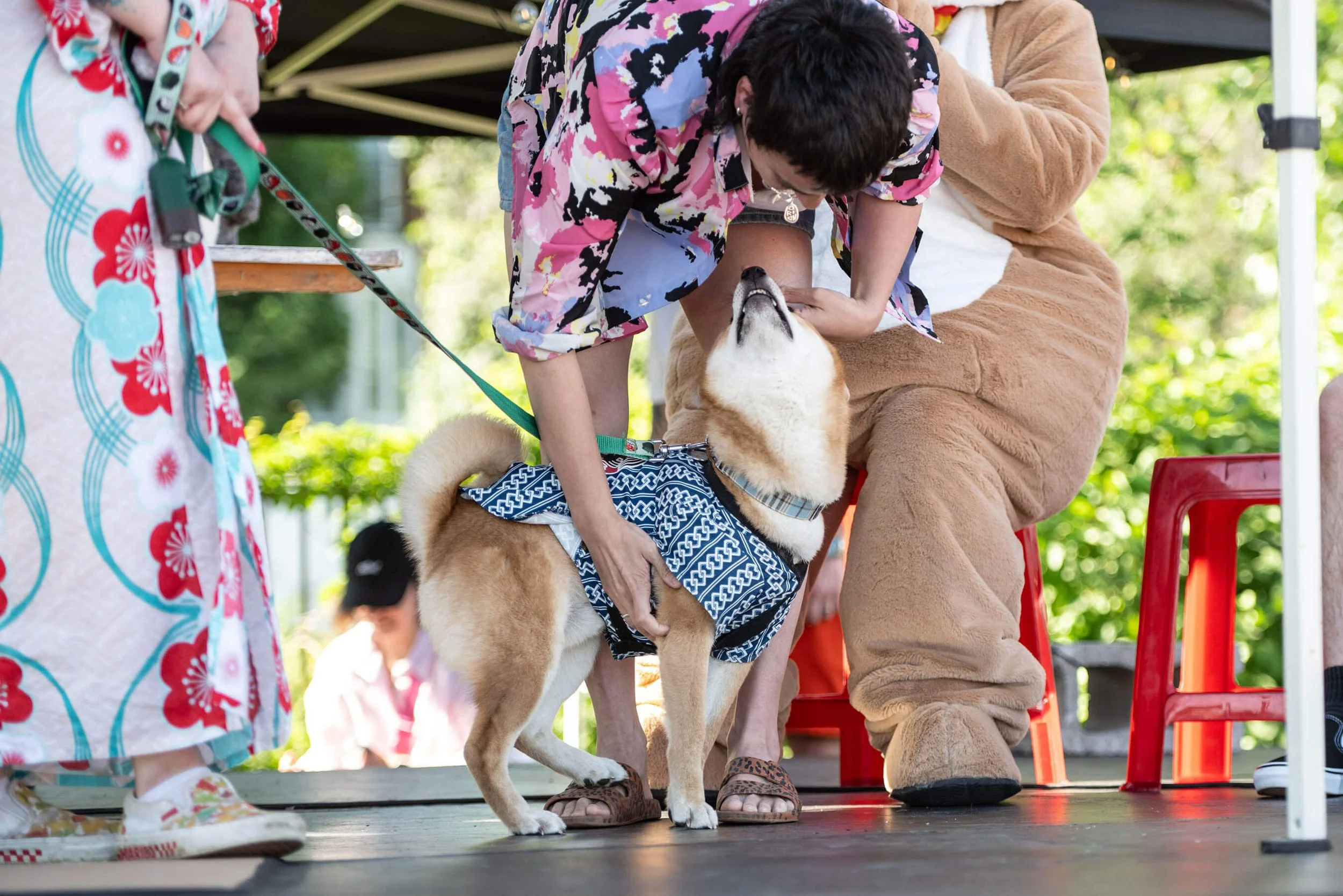 Shibalade-4280.jpg