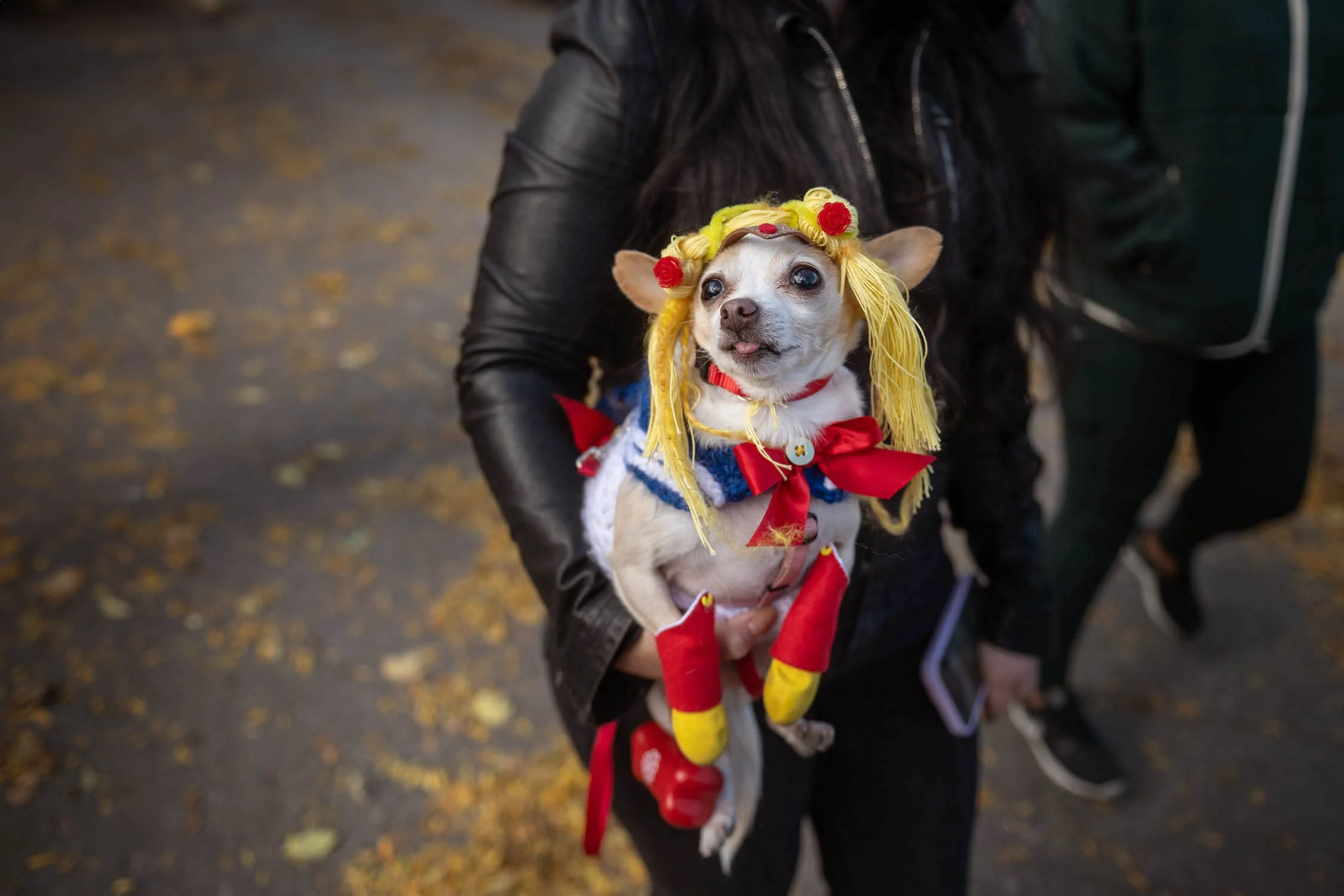PATTEPARADE DE L'HALLOWEEN