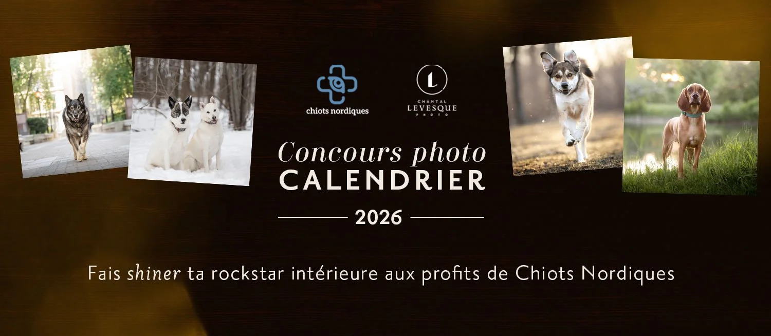 CONCOURS PHOTO - CALENDRIER 2026
