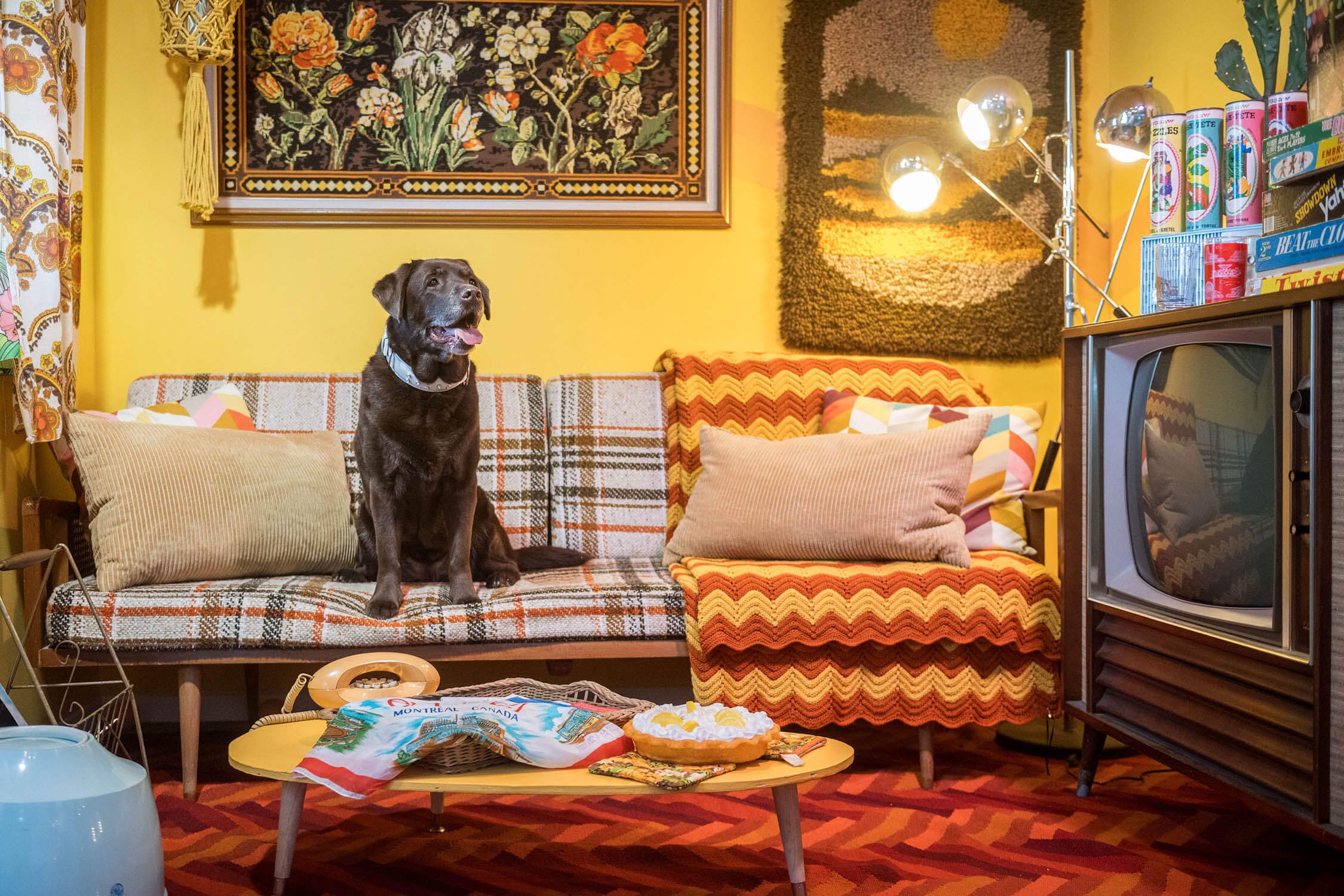 SORTIE DOG-FRIENDLY ORIGINALE À MTL : LE SAINT-MOTEL 