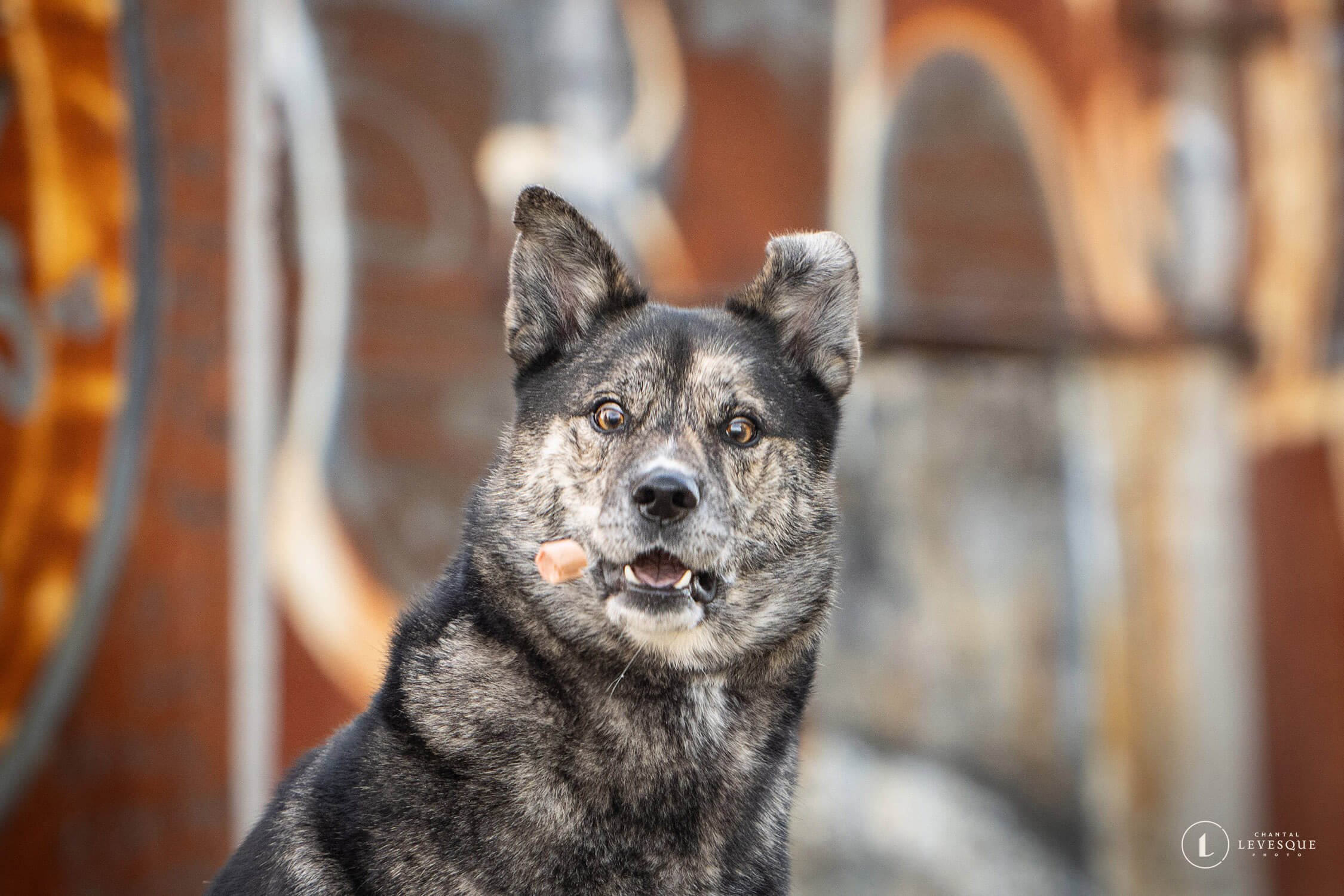 Milo-8156-web.jpg