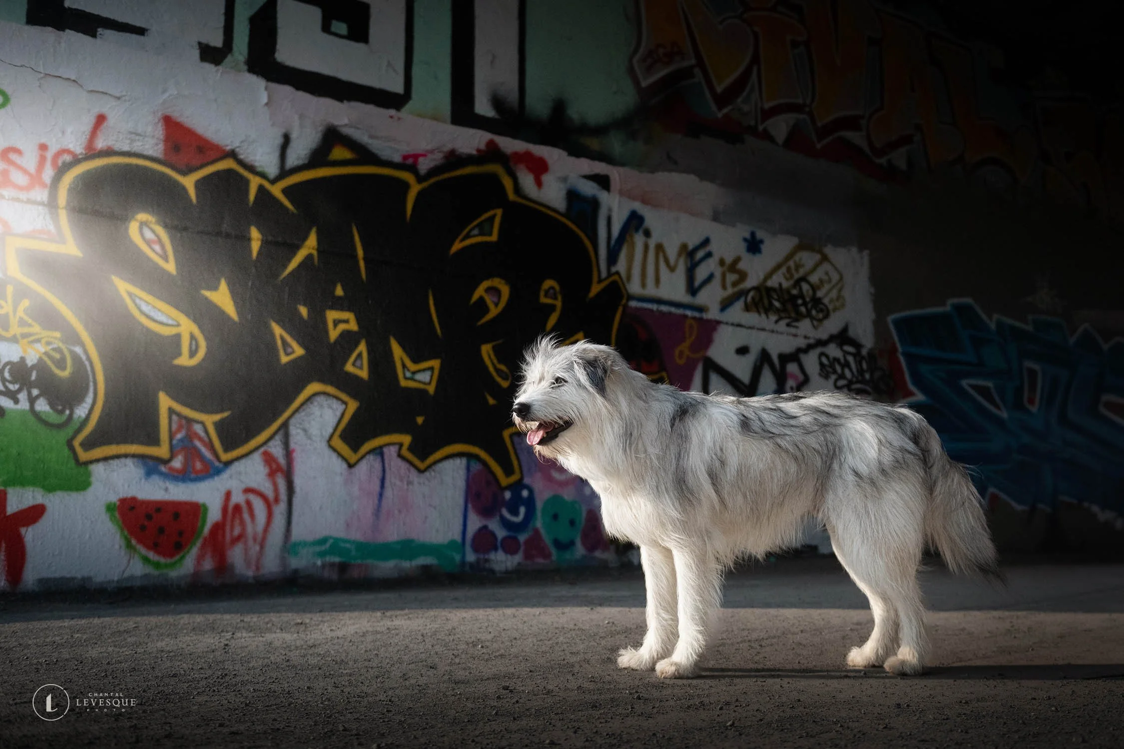 SÉANCE GRAFFITIS ET NATURE - ATCHUK