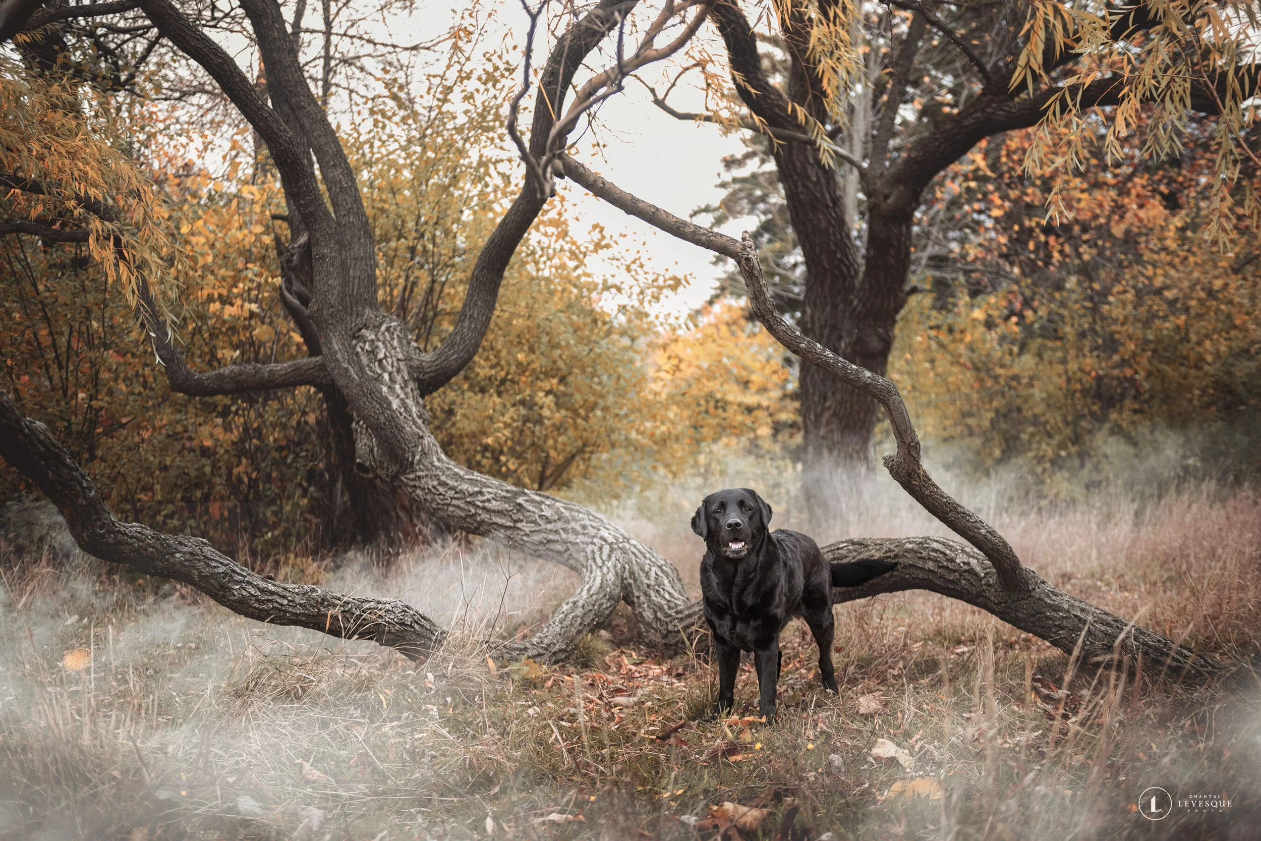 POURQUOI JE NE REMETS JAMAIS LES PHOTOS RAW