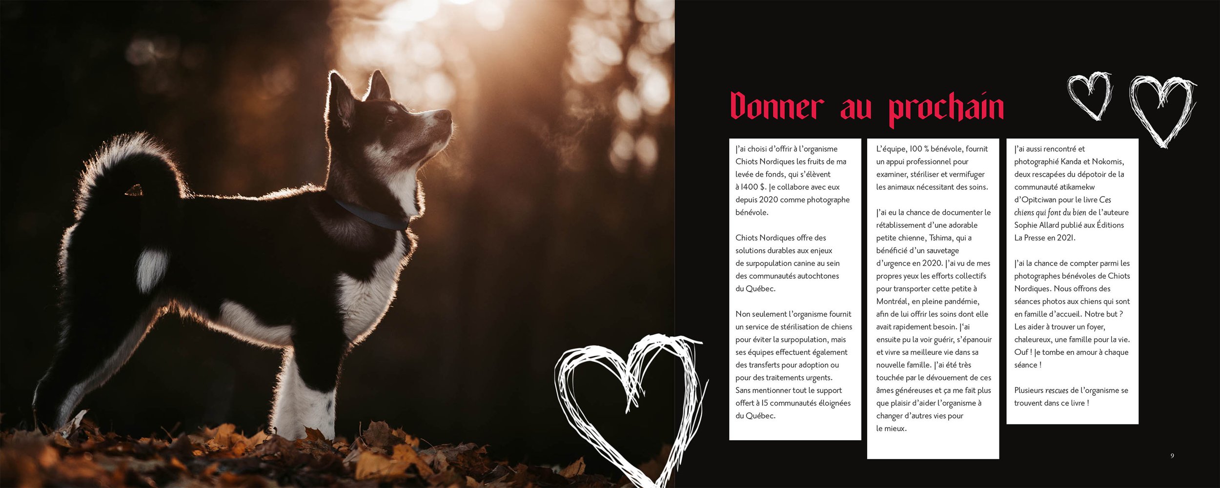 Bark and roll-CN.jpg