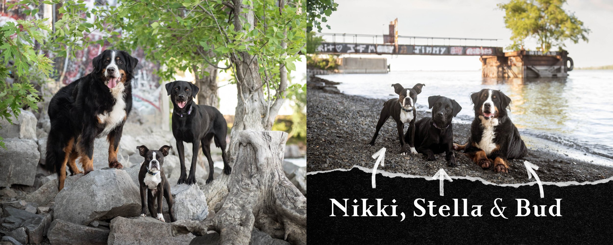 Bark and roll-trio.jpg