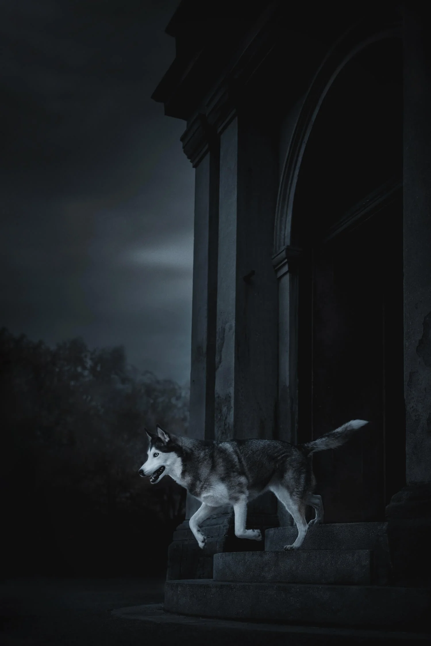 Nosferatu-3975.jpg