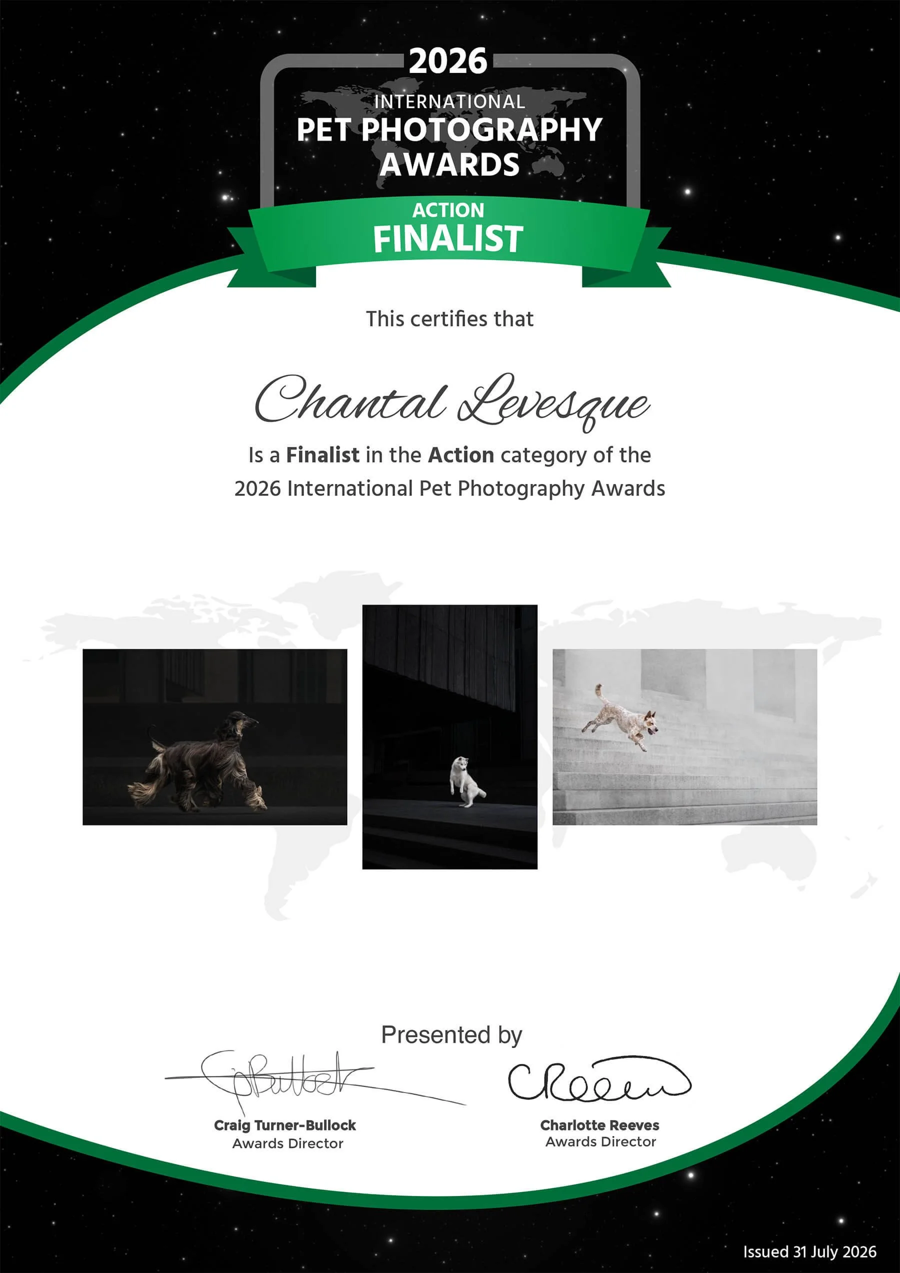 IPPA-2026-action_64af47a49b1f9d06c51091f4_finalist.jpg