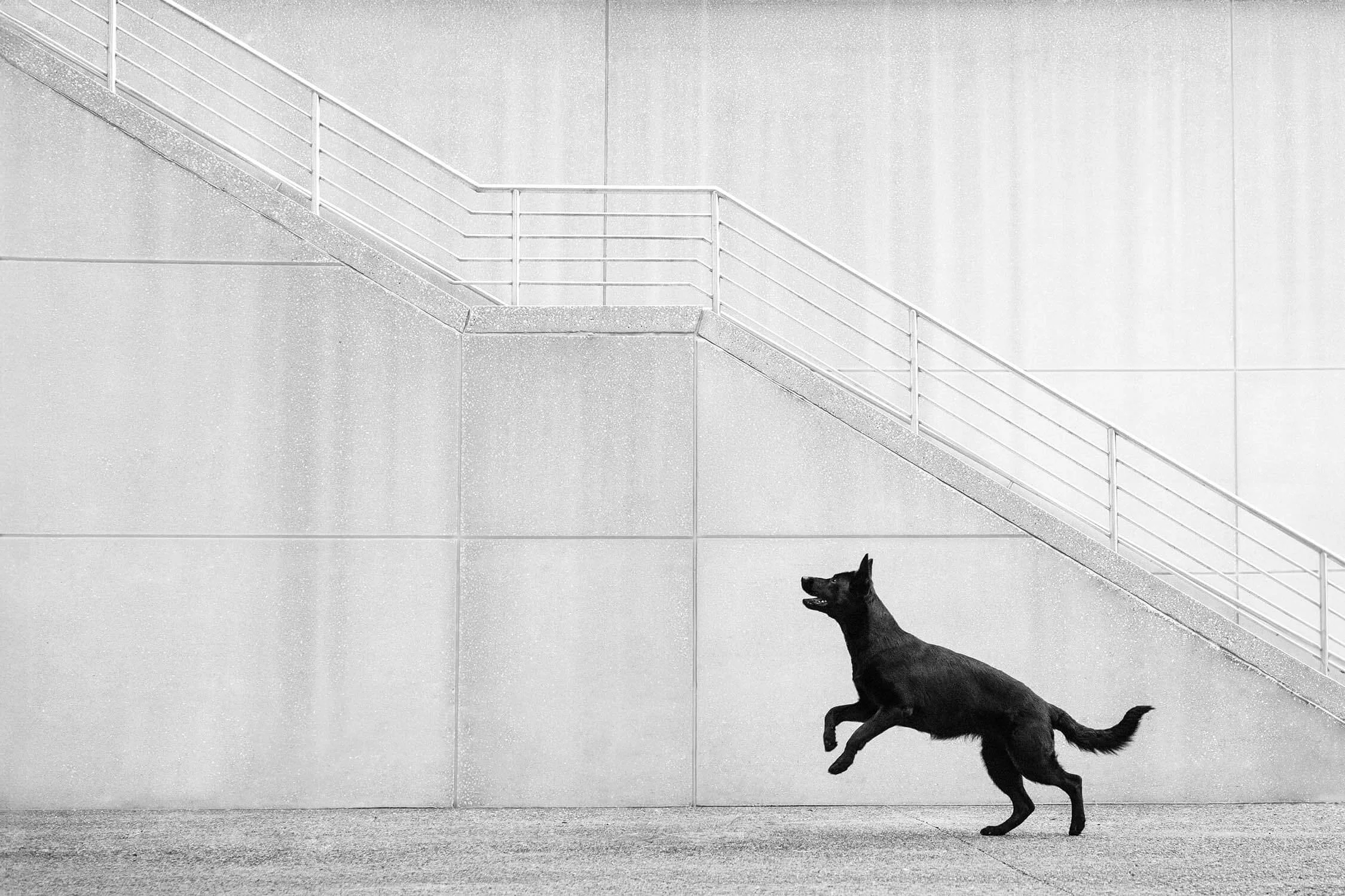 Abby-negative space-6250 copy 2.jpg