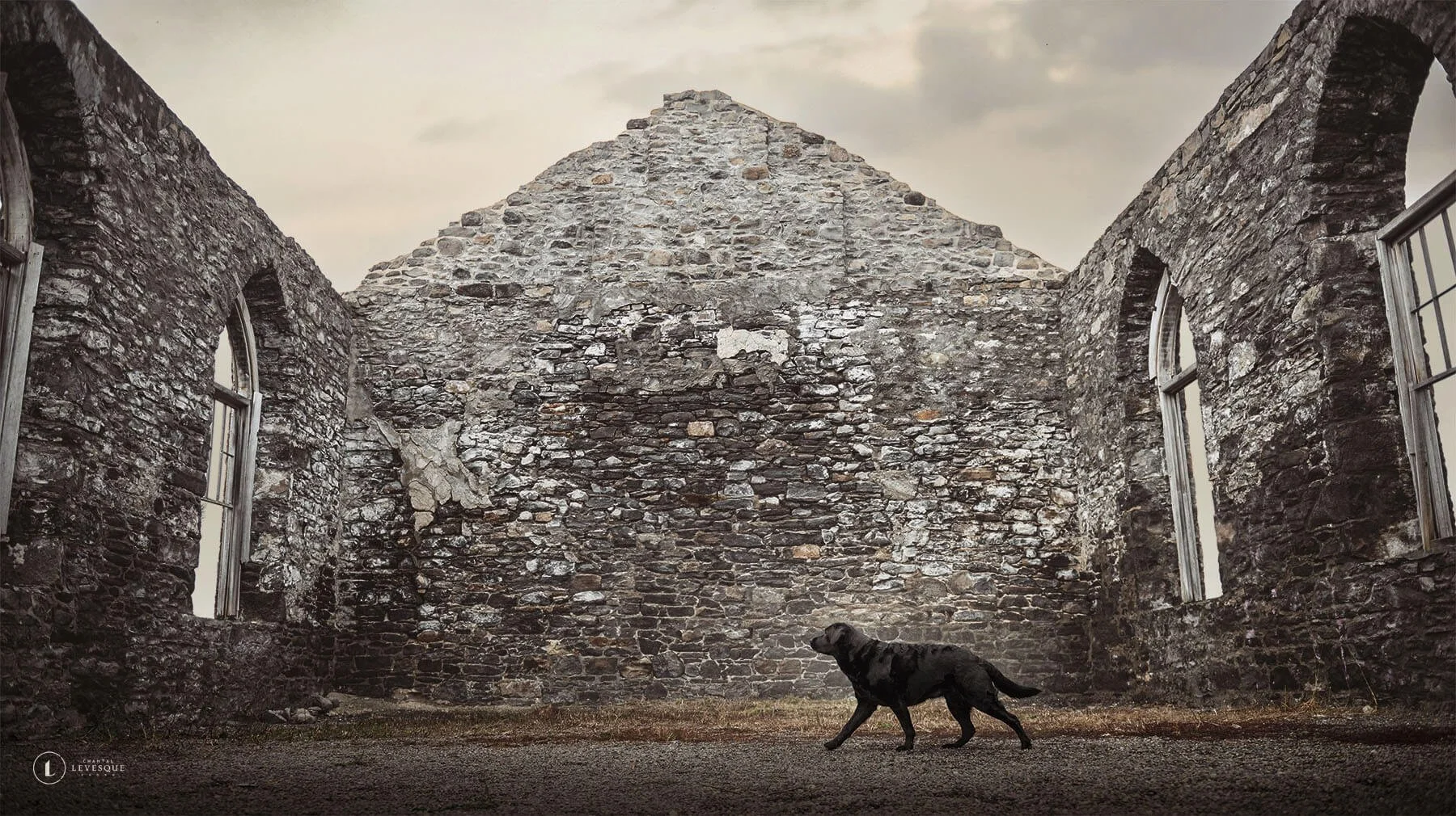 Raven-ruines-6346-web.jpg