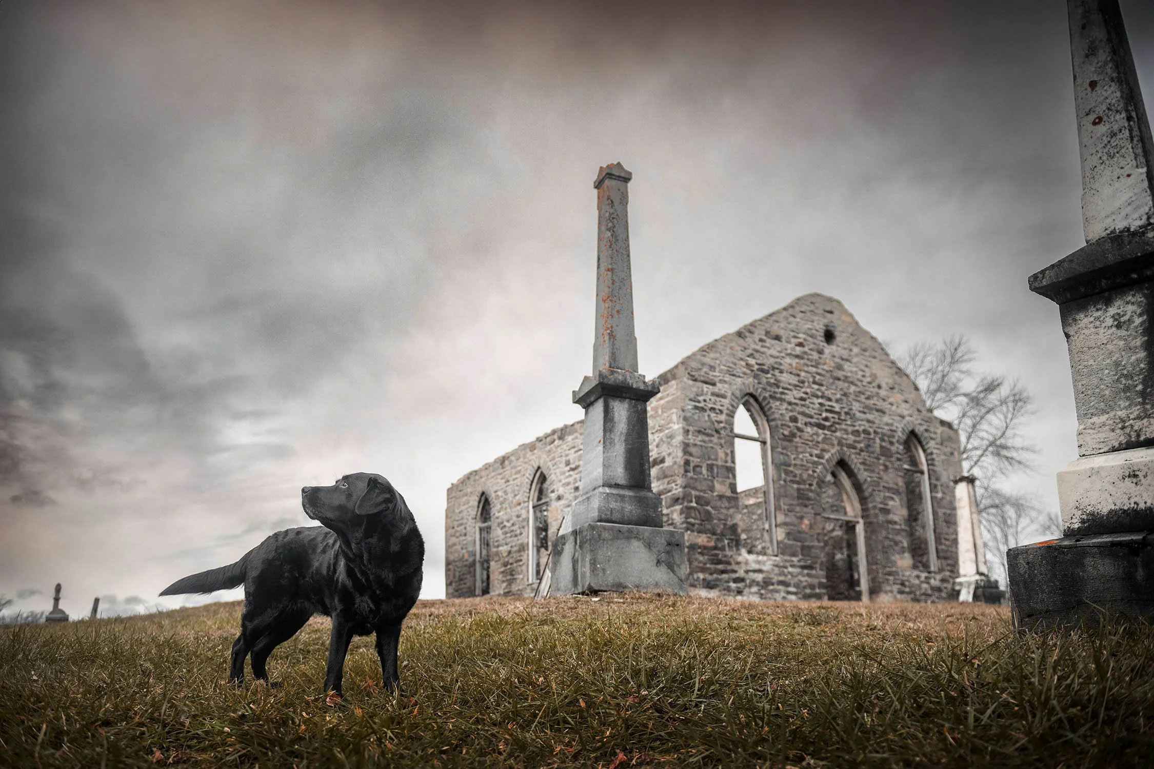 Raven-ruines-6541.jpg