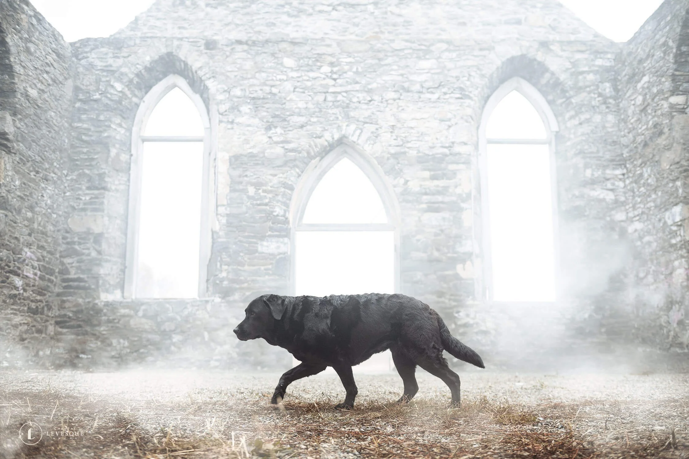 Raven-ruines-6694-web.jpg