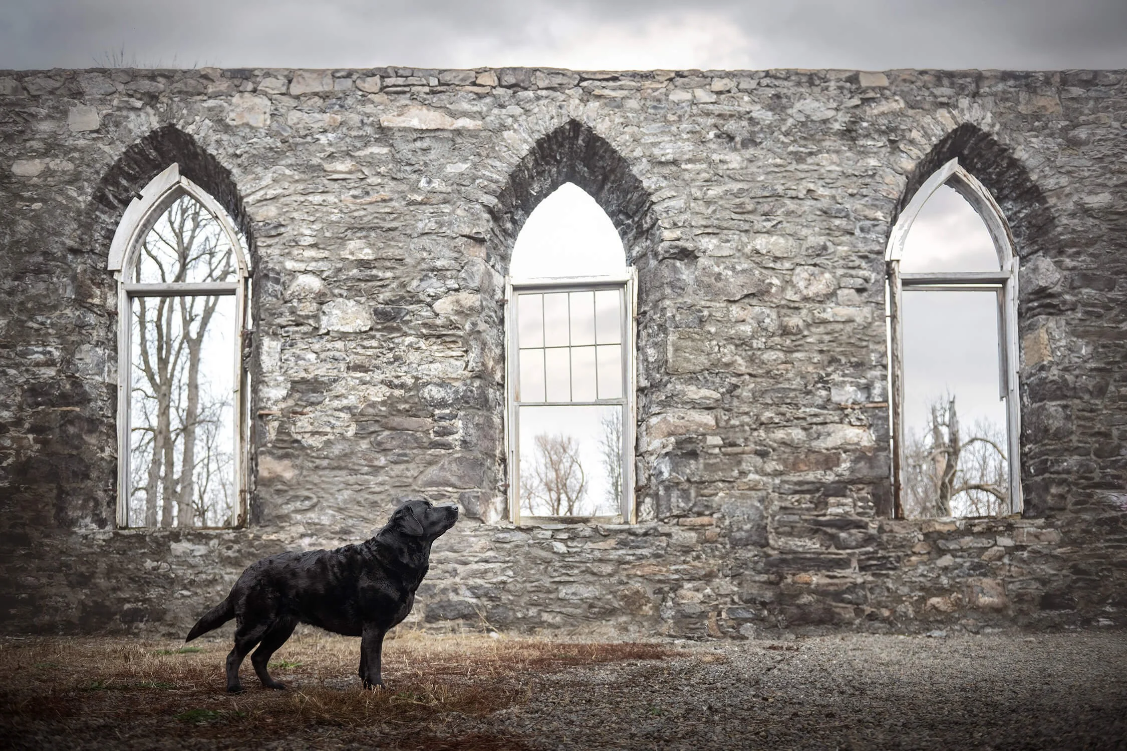 Raven-ruines-6974.jpg