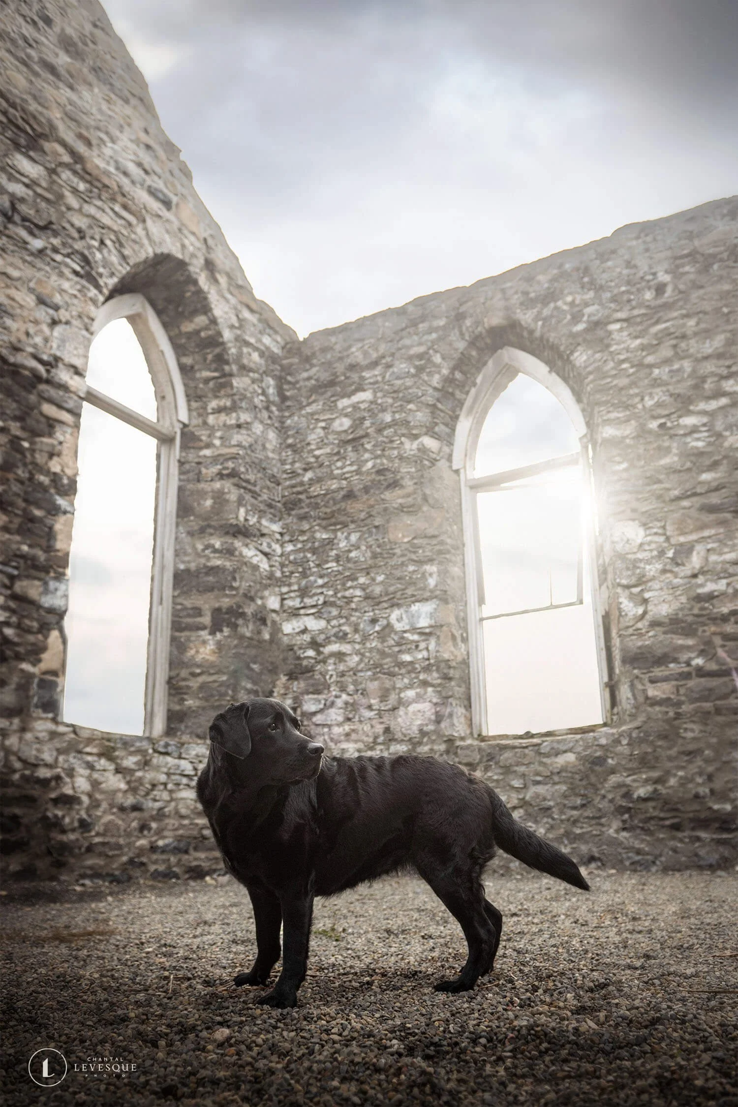 Raven-ruines-7104-web.jpg