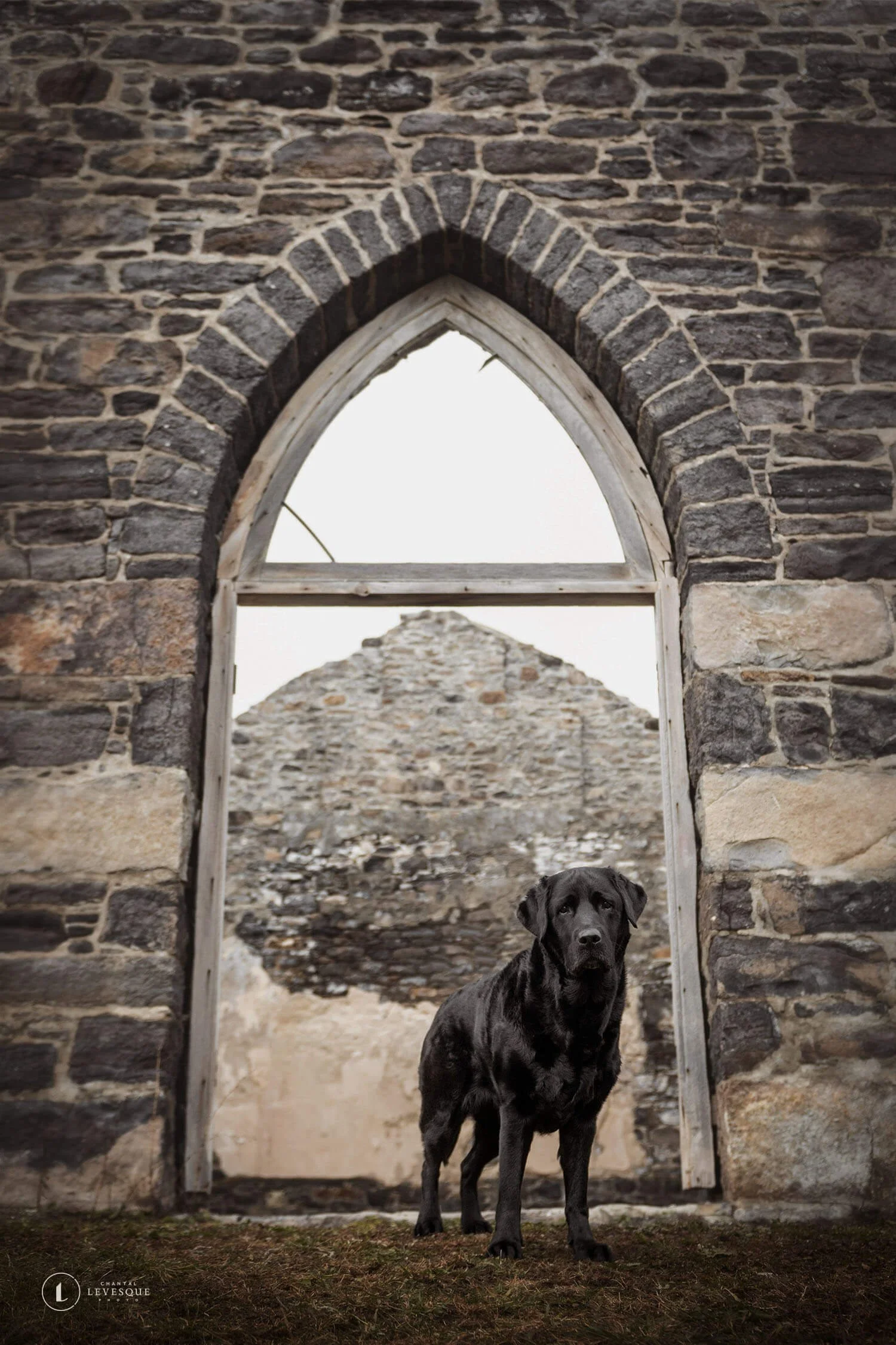 Raven-ruines-6332-web.jpg
