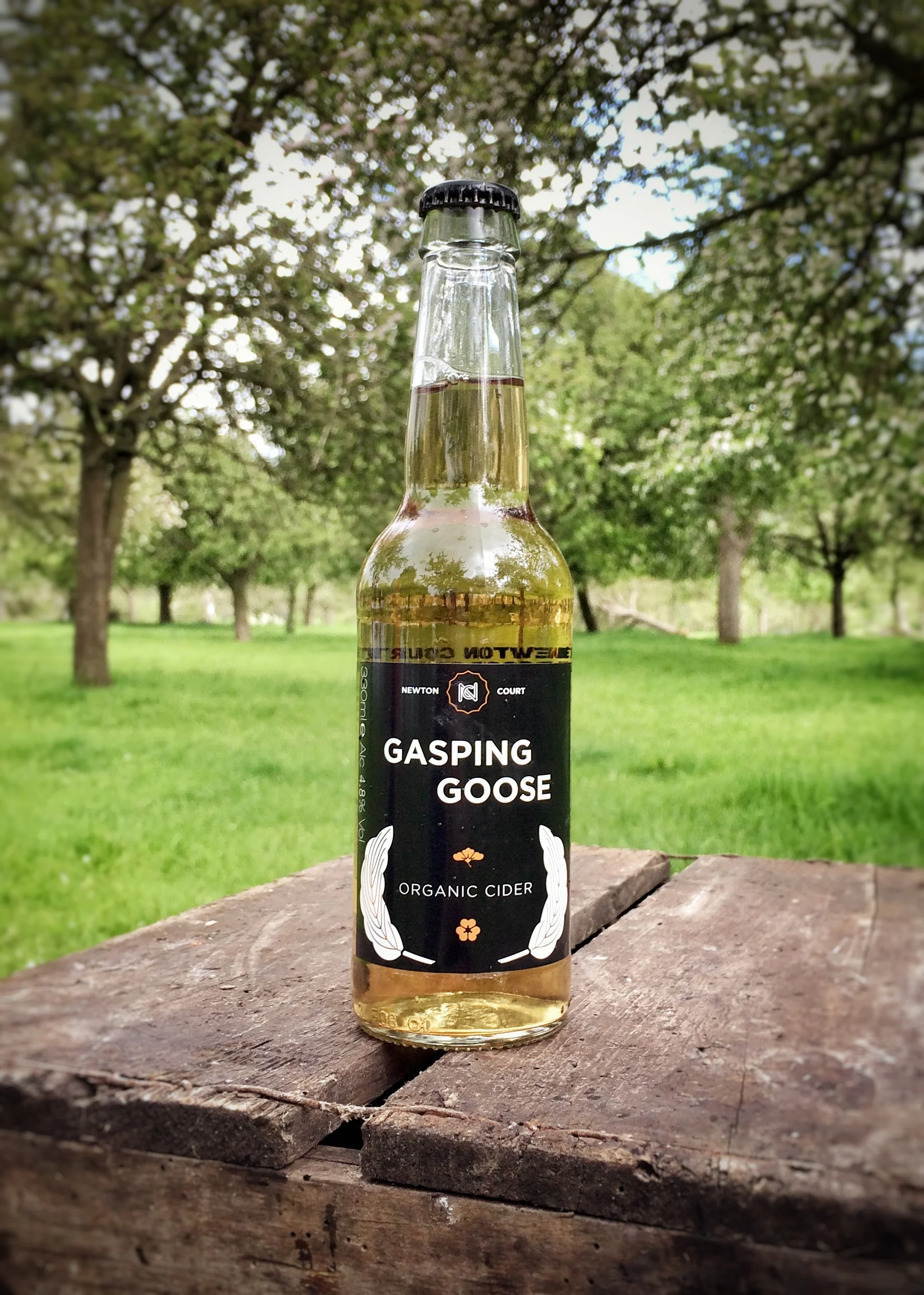 Gasping Goose Organic Cider