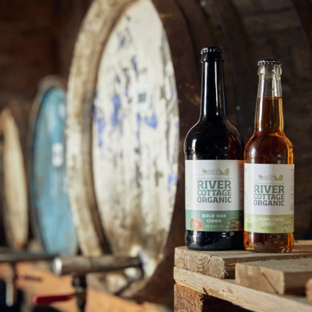 Newton Court Cider