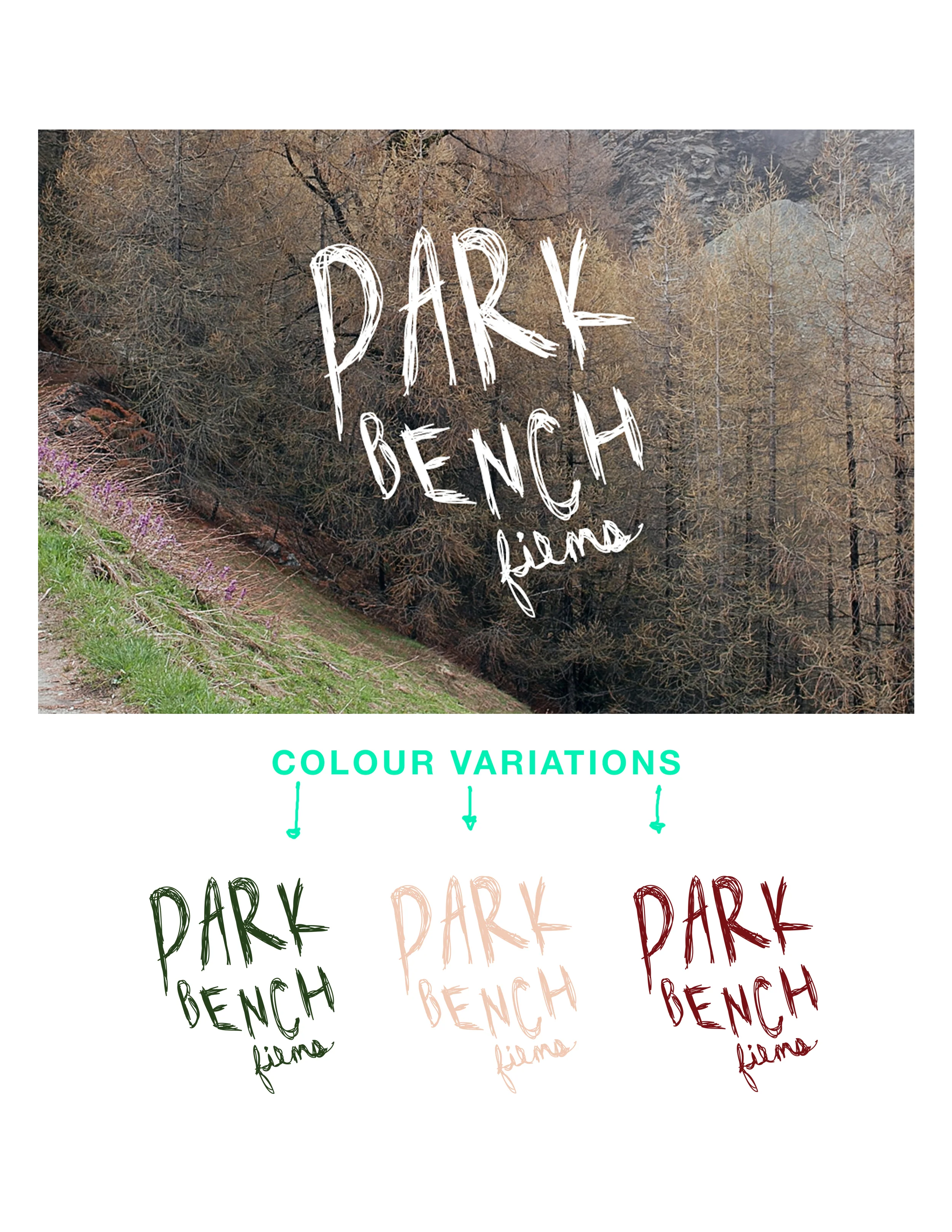 PBFcolour.jpg