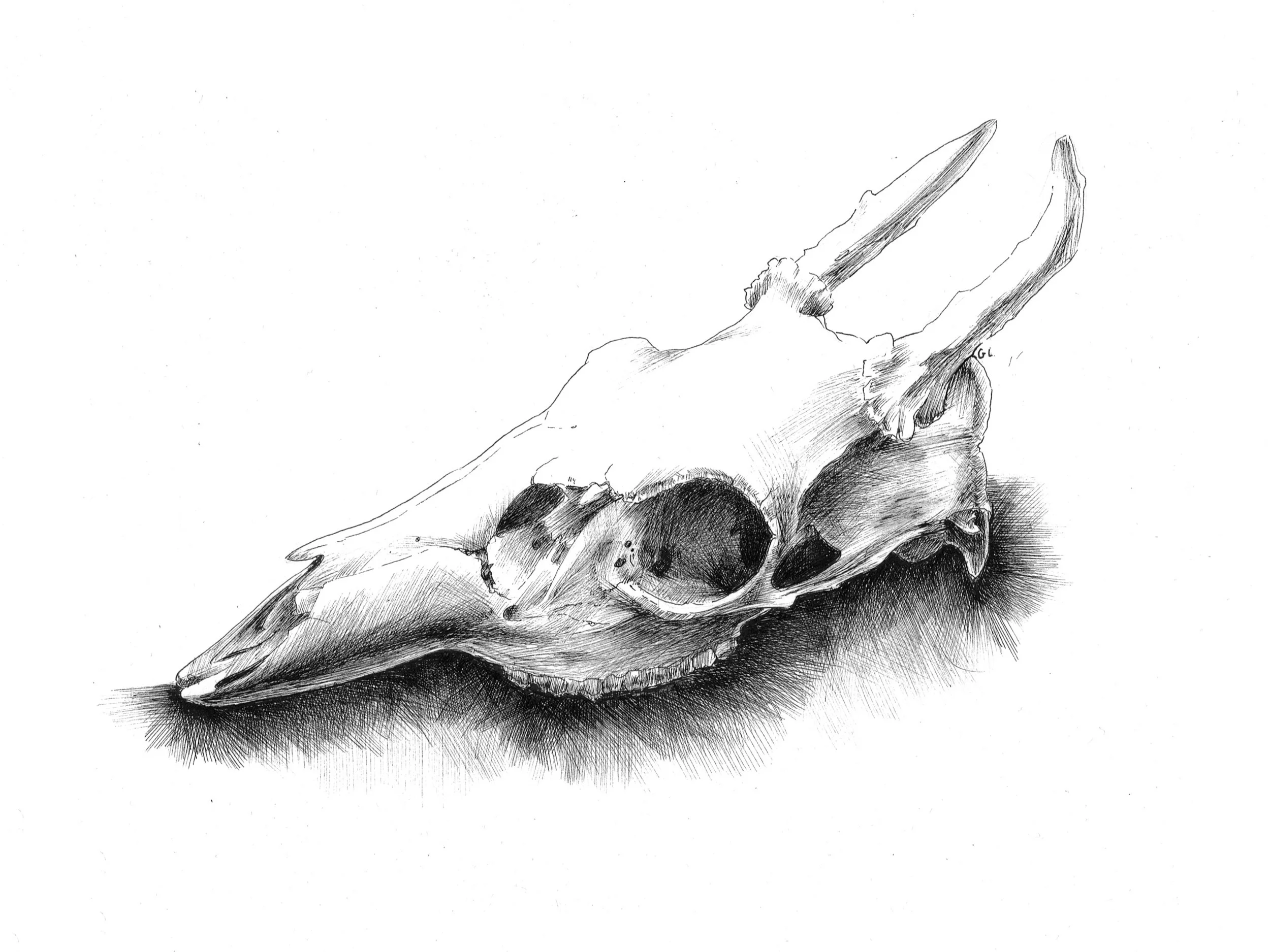 20161004a.jpg