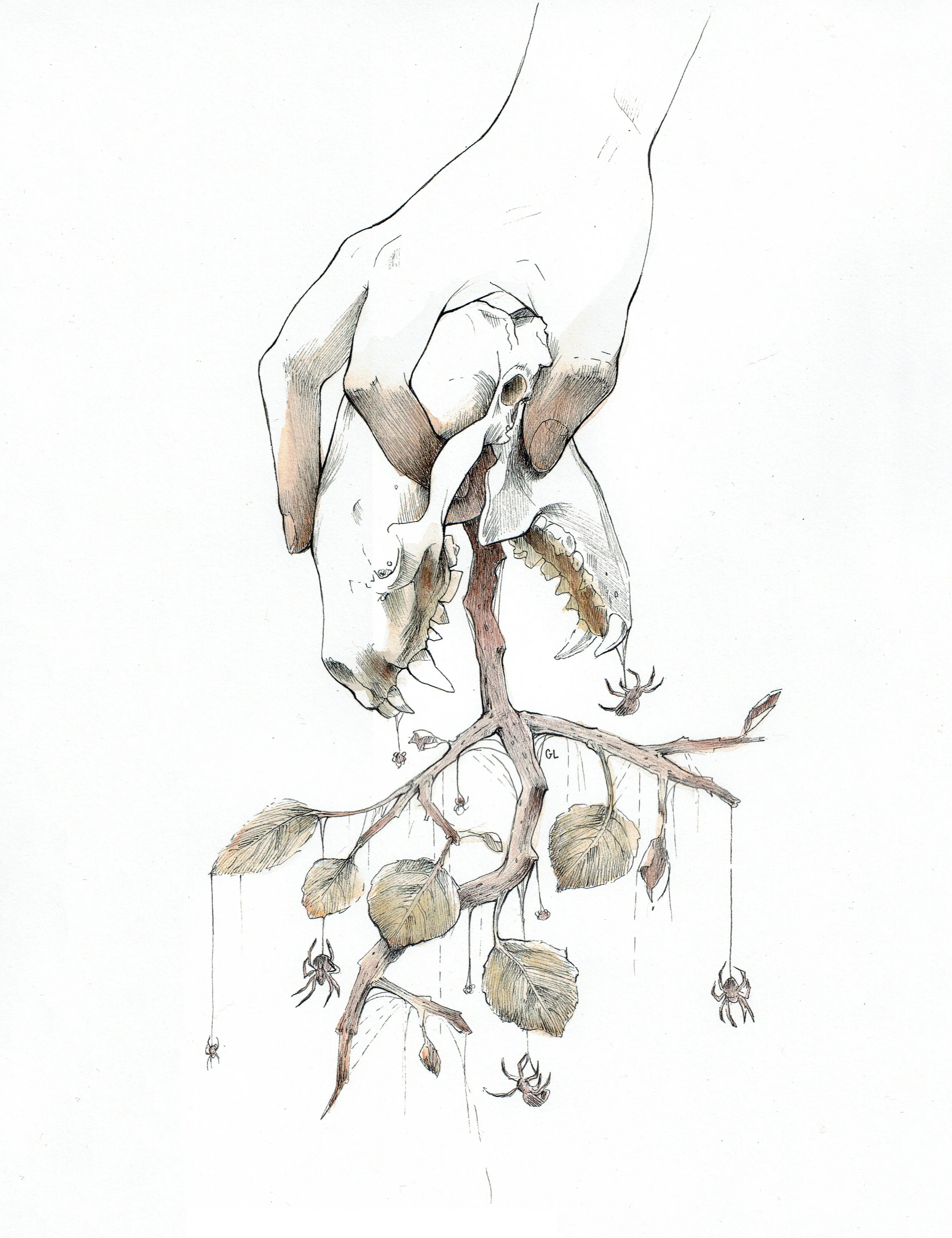 Copy of Spiderlings
