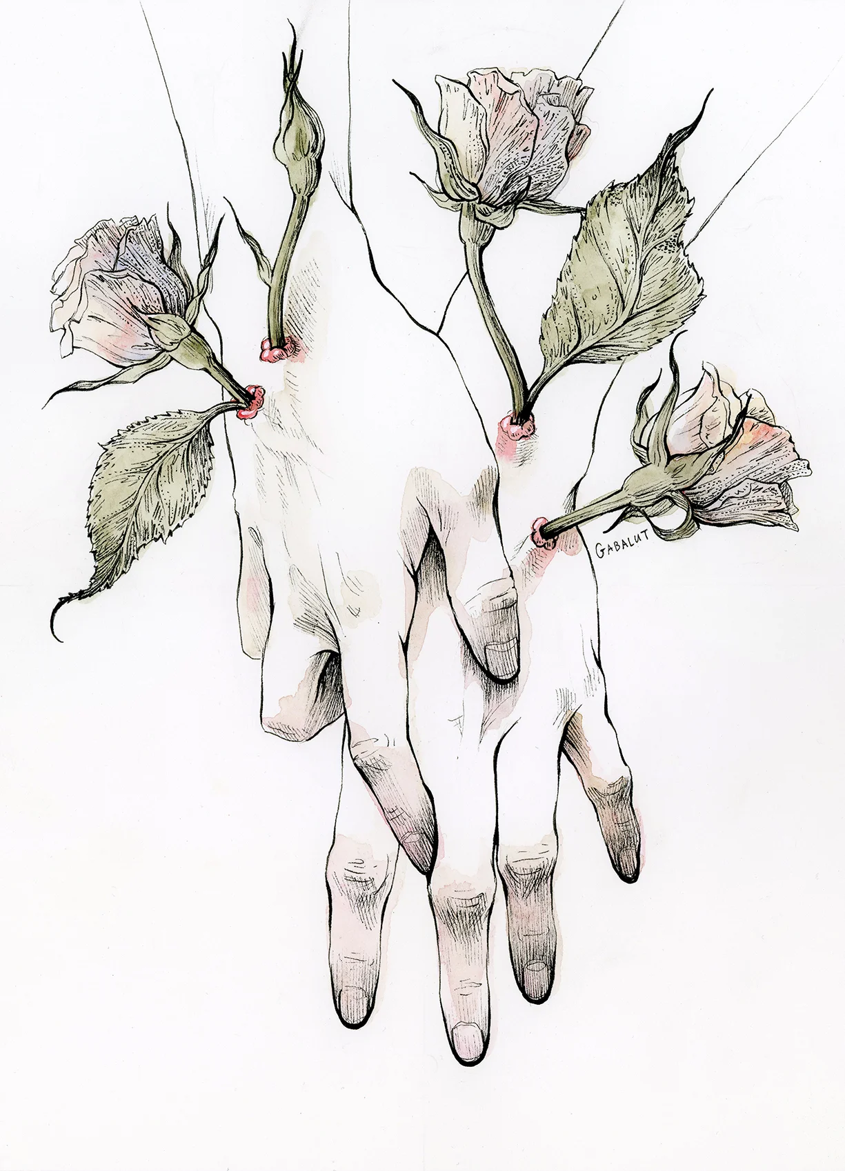 The Protuberances