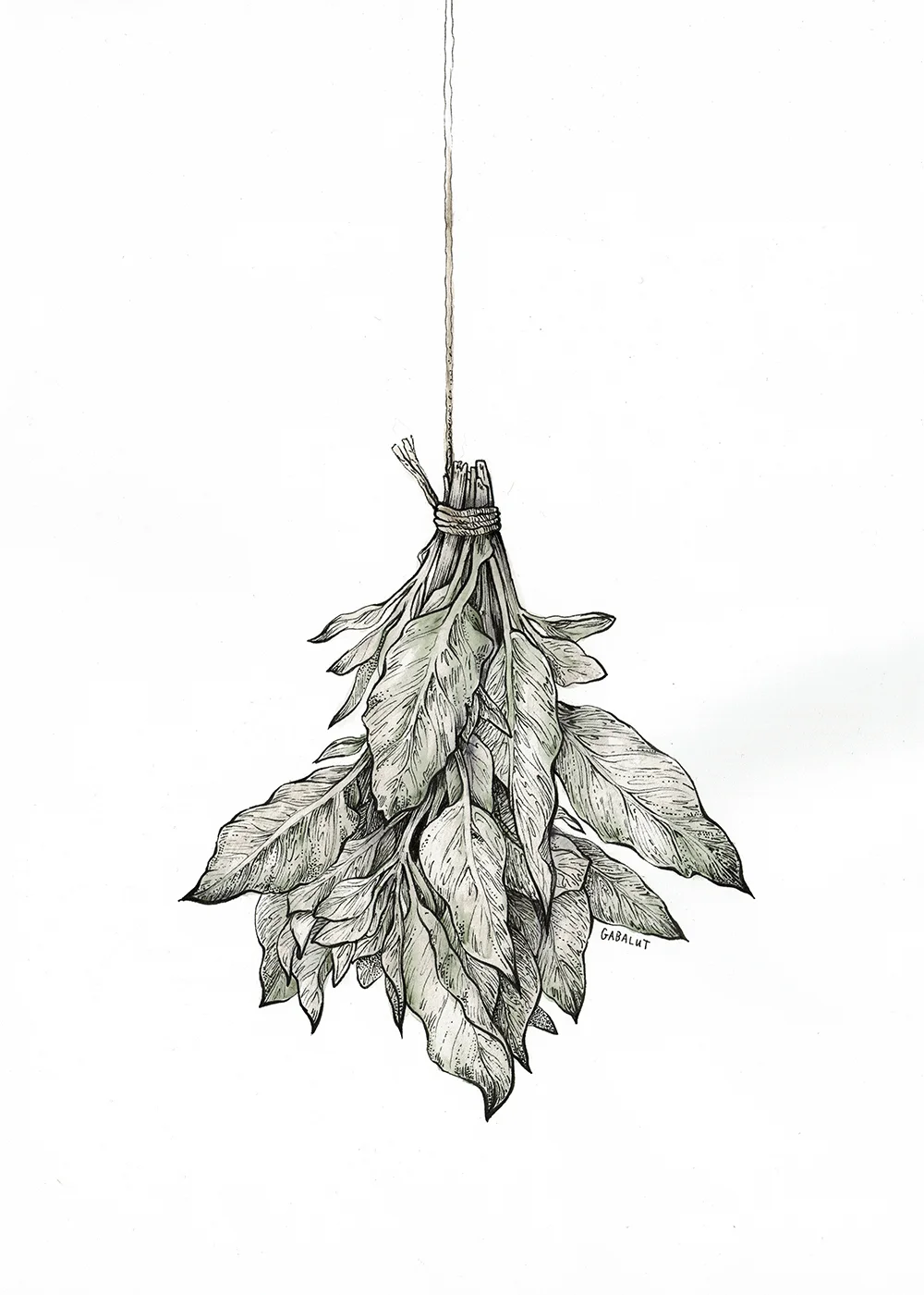 Dried Herbs