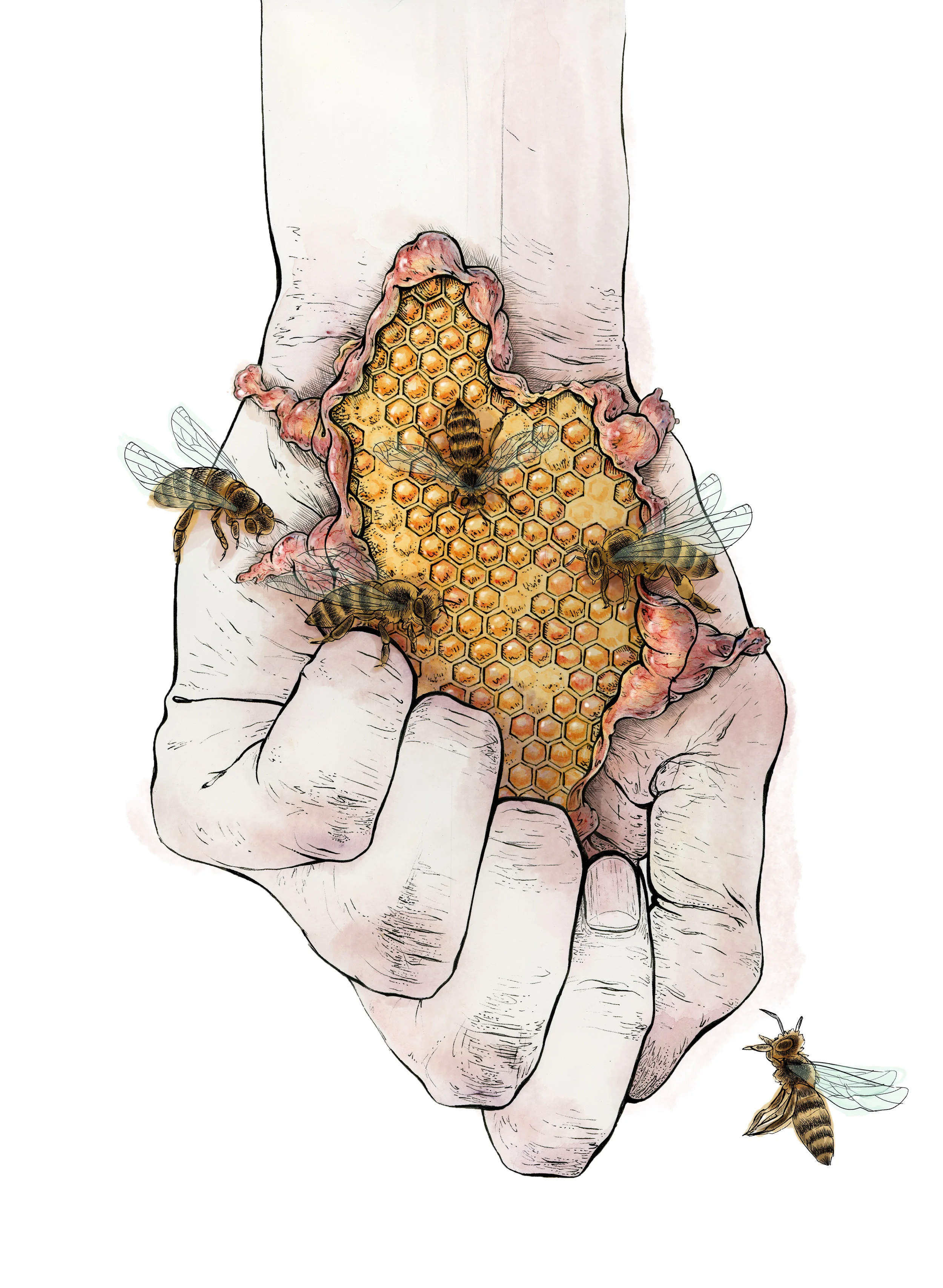 20190228_HandHoneycomb.jpg