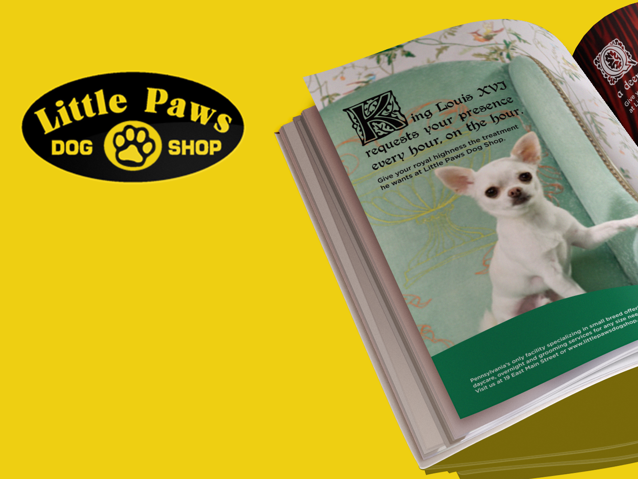 LITTLE PAWS.png