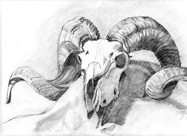 600.Ram.jpg