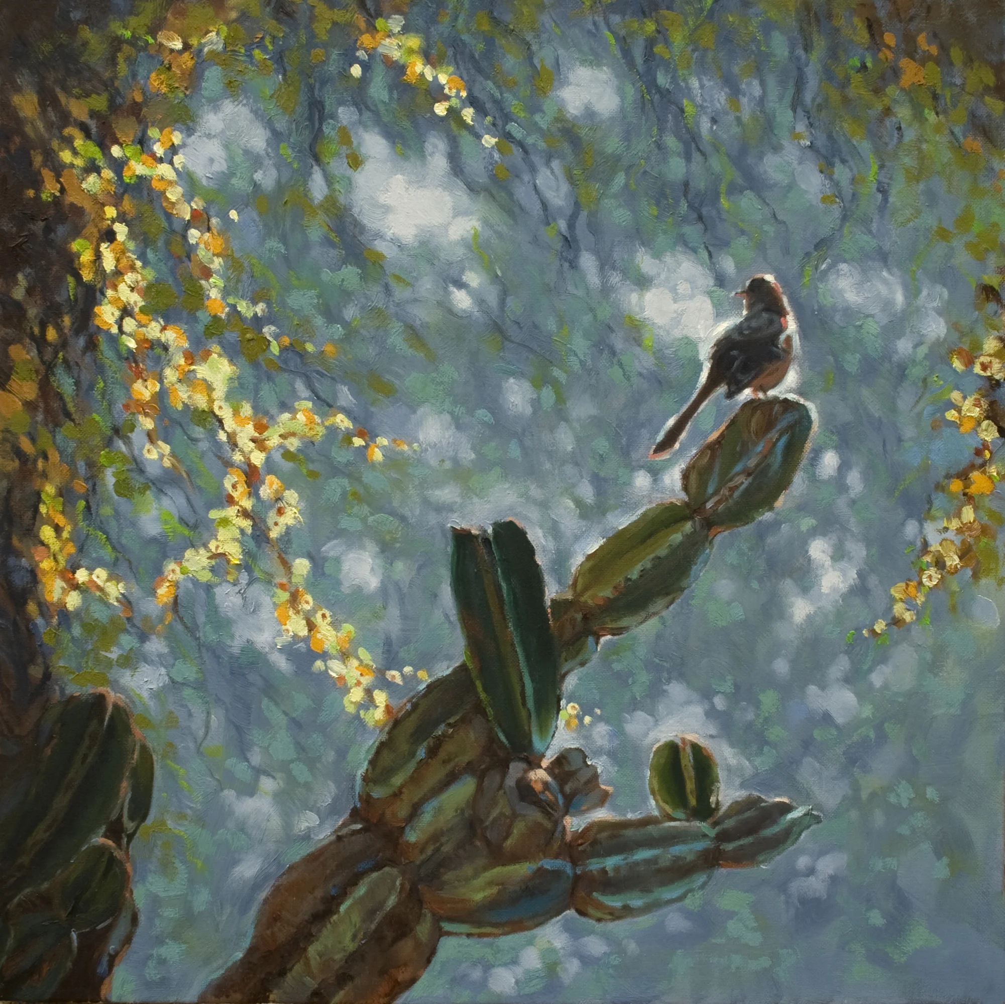 Birdsong (20 x 20)