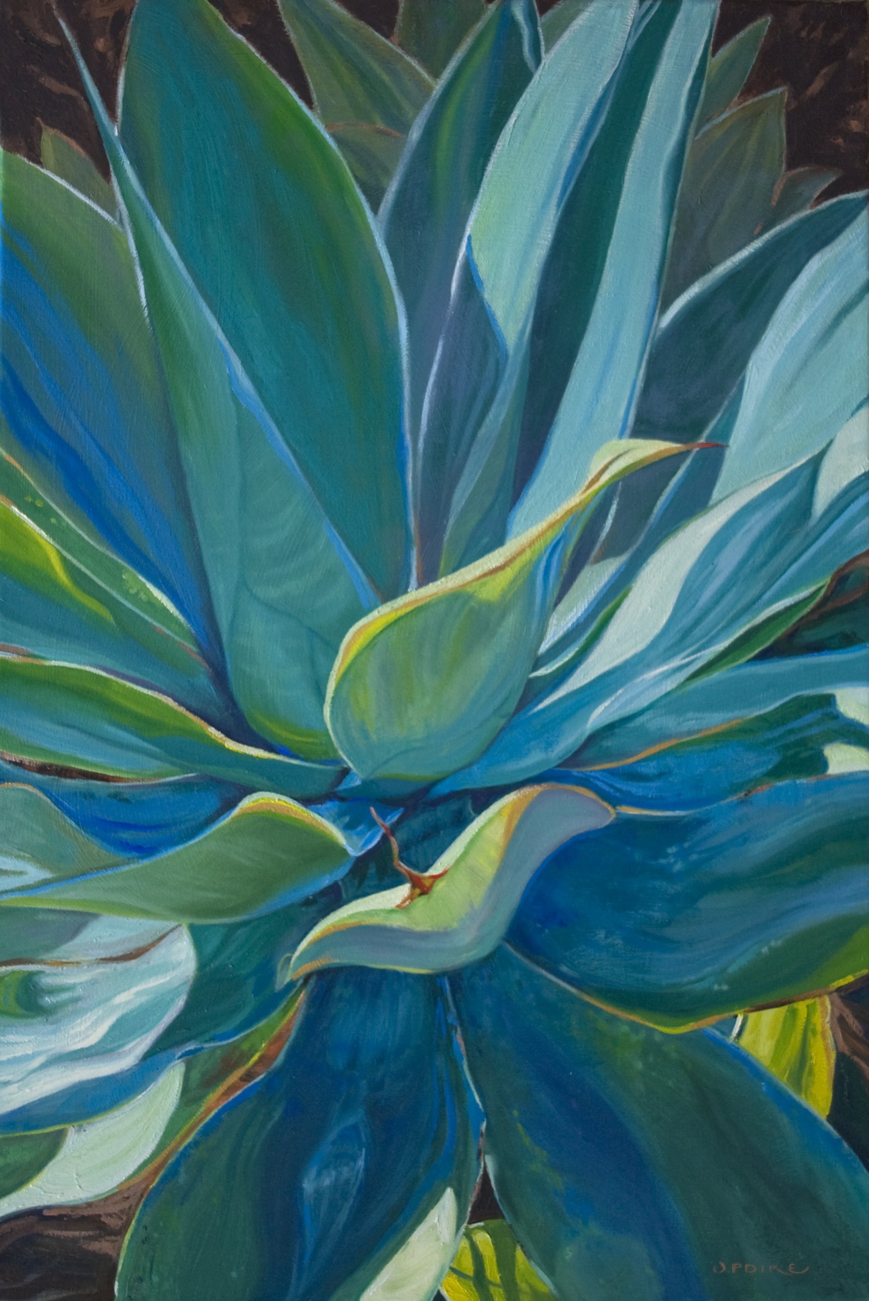 Blue Agave
