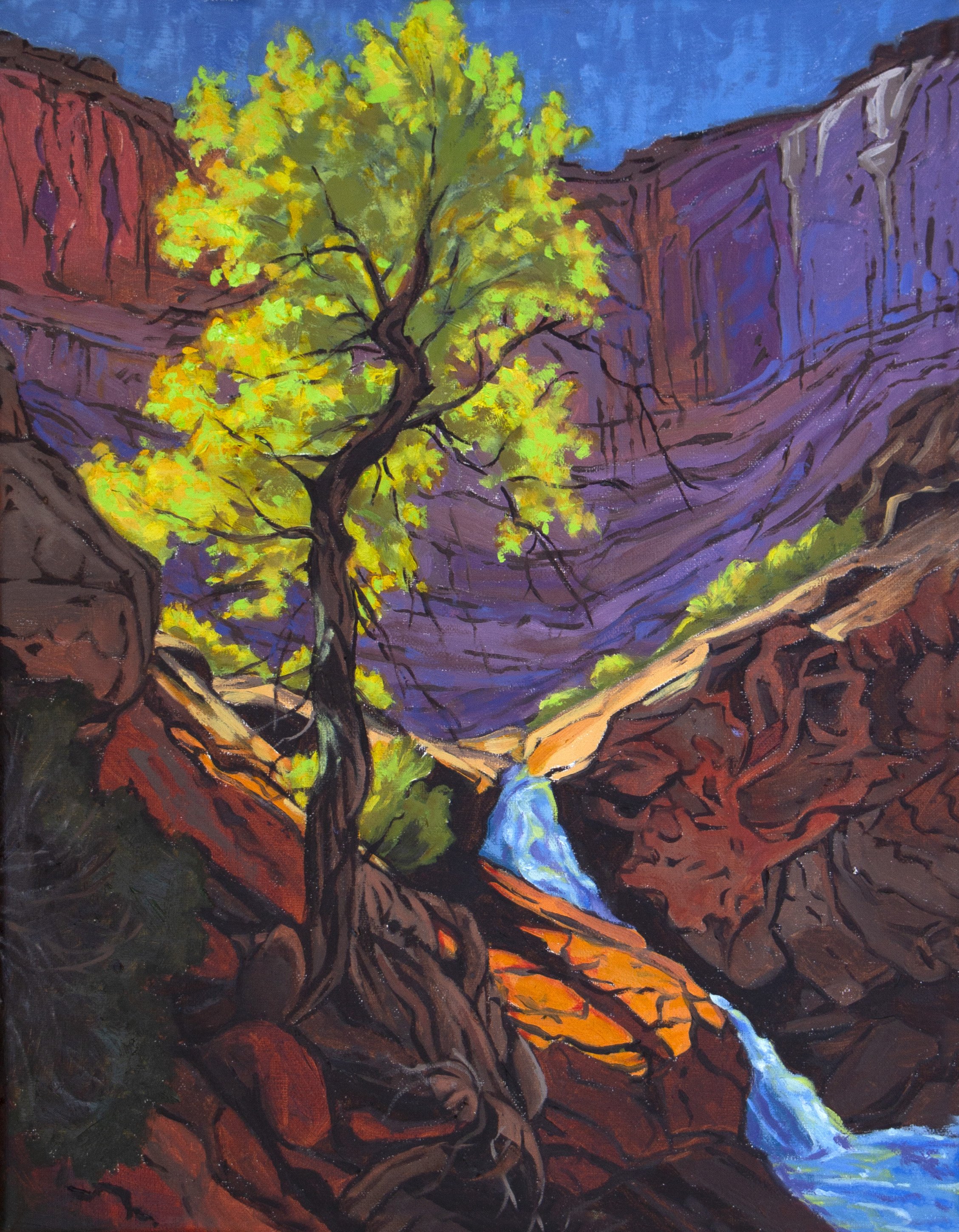 Escalante Evening