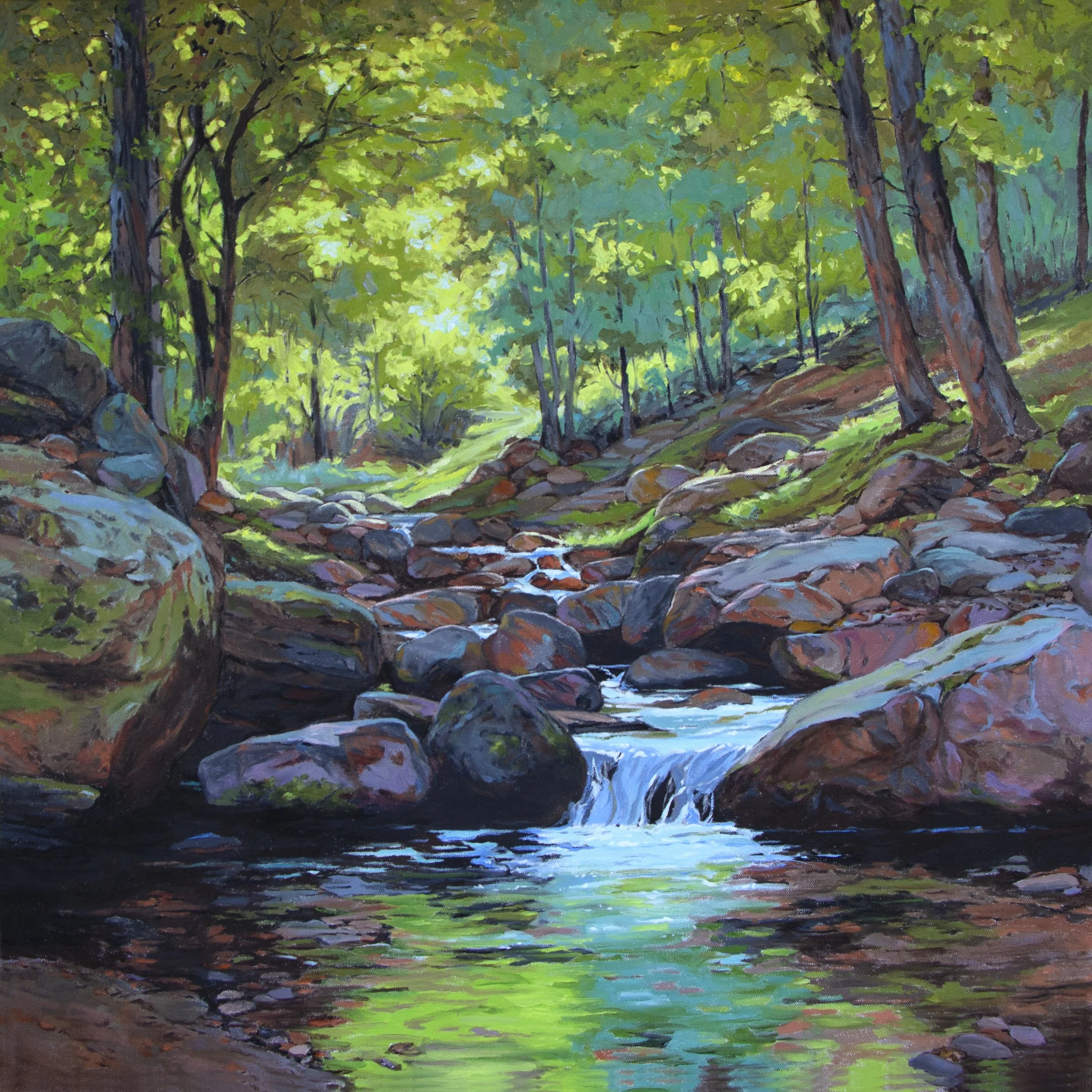 The Creek That Dreams (Madera Canyon, Santa Ritas)