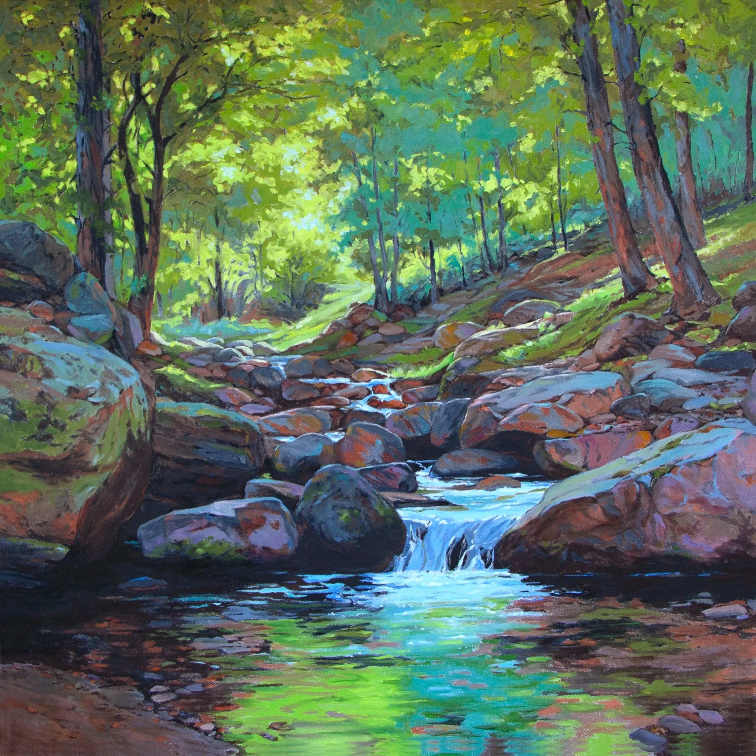 The Creek That Dreams (Madera Canyon, Santa Ritas)