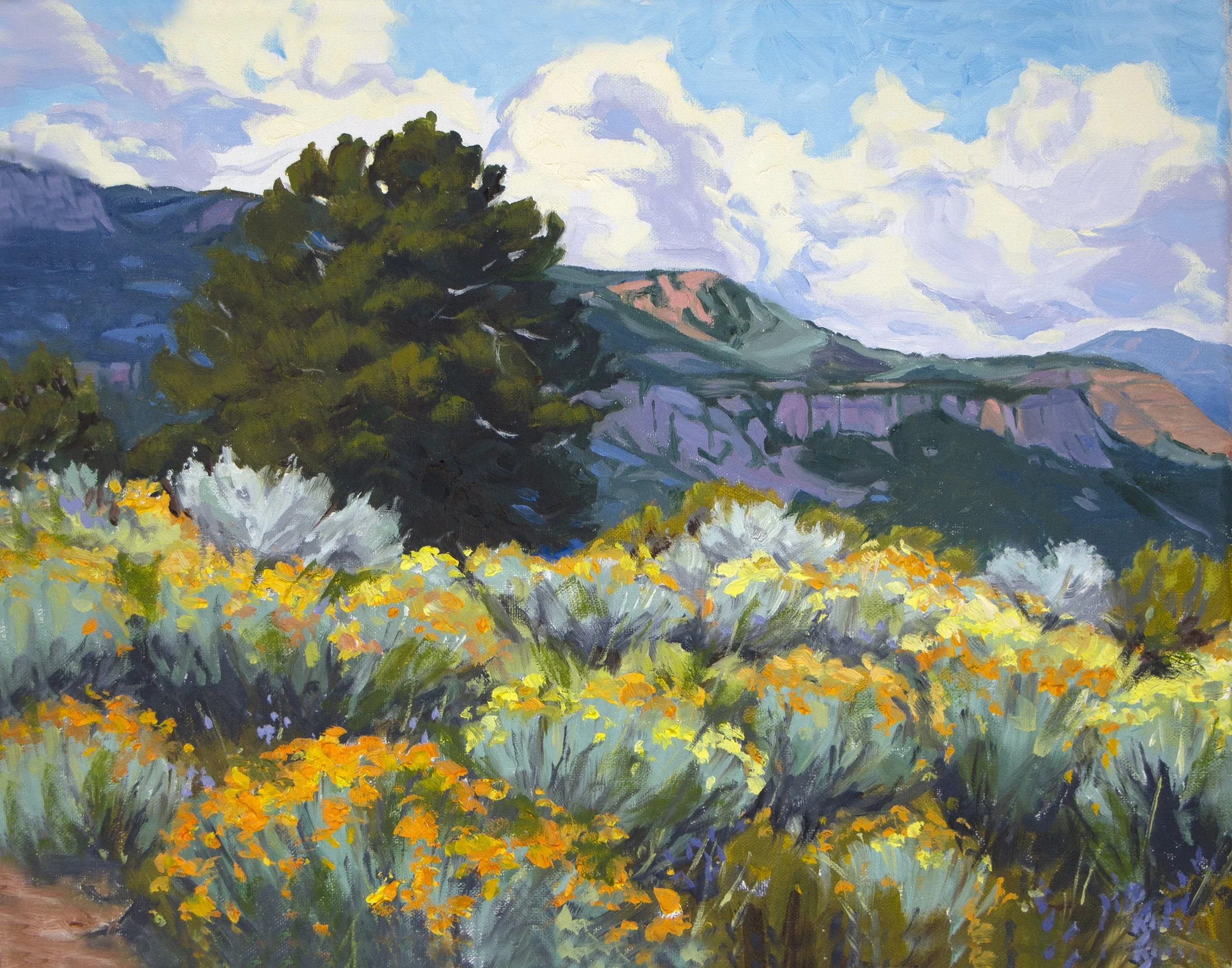 Spring Bloom in the High Desert