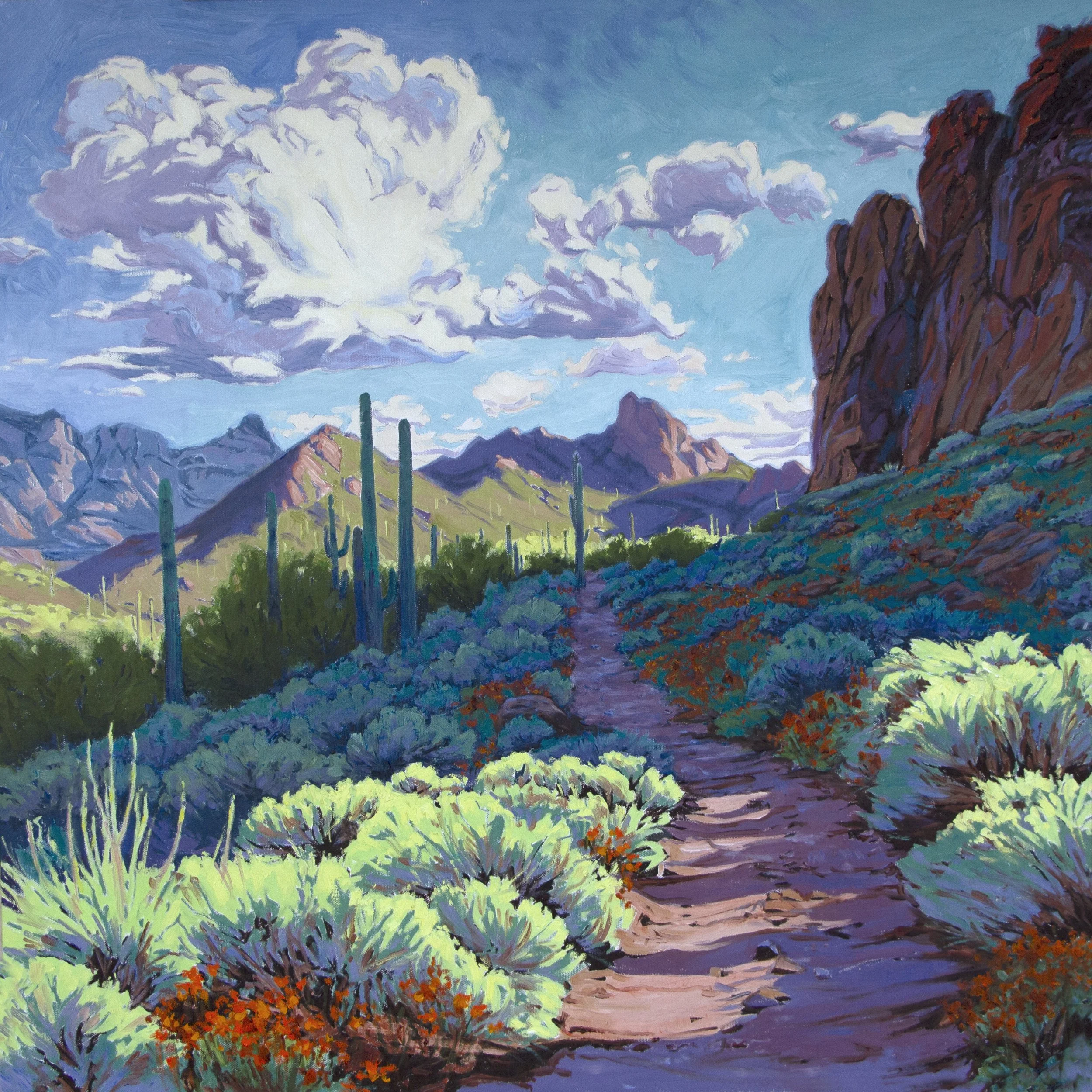 Between Cactus and Sky
